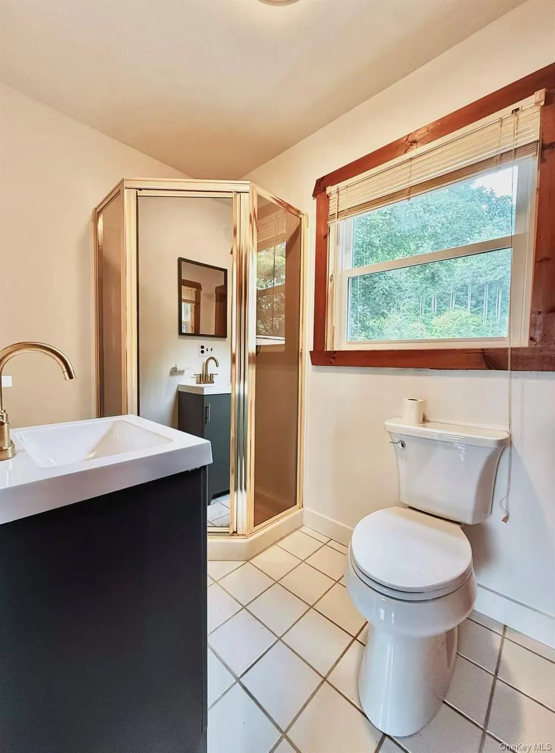 17 Mary Avenue, Carmel, NY, 3 Bedrooms Bedrooms, 6 Rooms Rooms,2 BathroomsBathrooms,Residential,For Rent,Mary,0,1040283 17 Mary Avenue, Carmel, NY, 3 Bedrooms Bedrooms, 6 Rooms Rooms,2 BathroomsBathrooms,Residential,For Rent,Mary,0,1040283