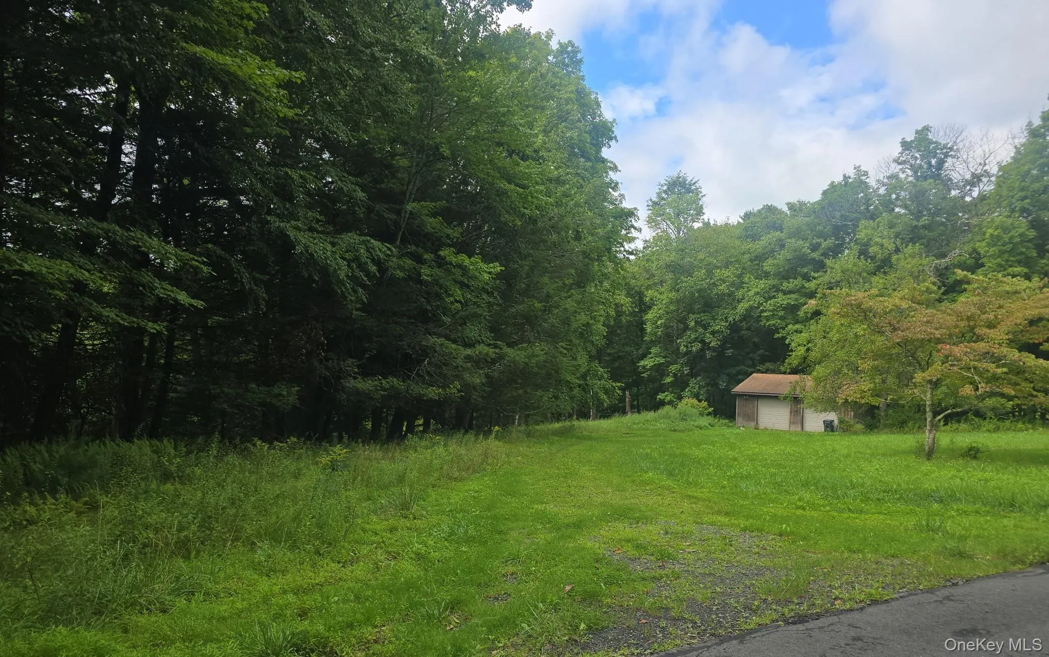 127 Old Cahoonzie Road, Deerpark, NY, ,Land,For Rent,Old Cahoonzie,0,1040301 127 Old Cahoonzie Road, Deerpark, NY, ,Land,For Rent,Old Cahoonzie,0,1040301