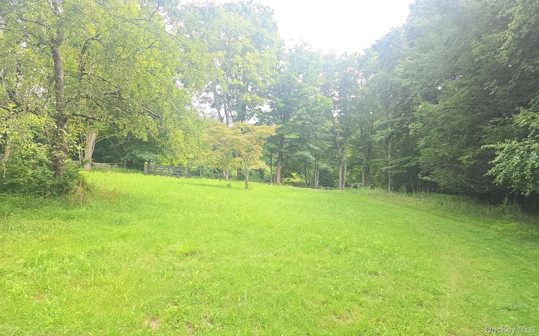 127 Old Cahoonzie Road, Deerpark, NY, ,Land,For Rent,Old Cahoonzie,0,1040301 127 Old Cahoonzie Road, Deerpark, NY, ,Land,For Rent,Old Cahoonzie,0,1040301