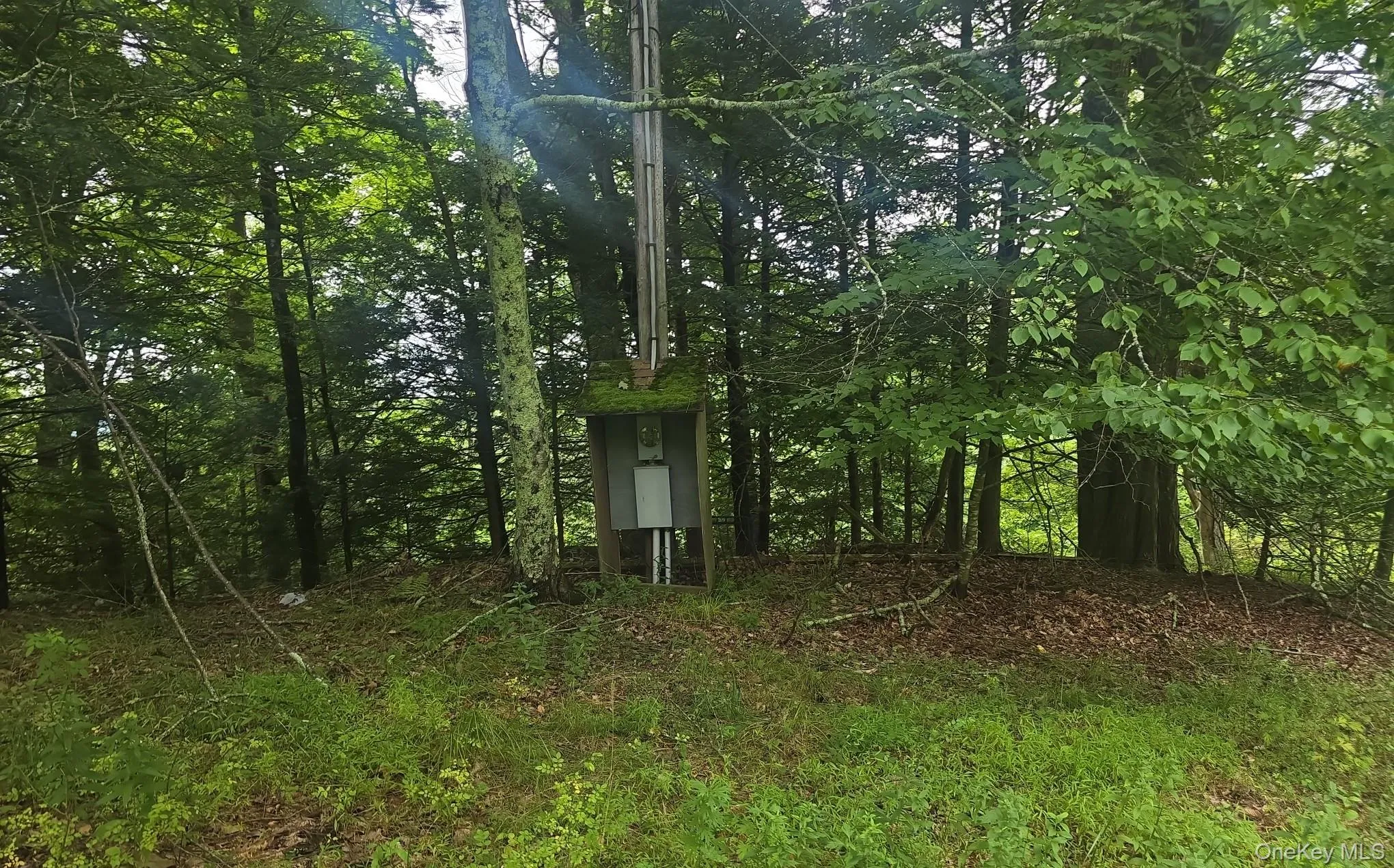 127 Old Cahoonzie Road, Deerpark, NY, ,Land,For Rent,Old Cahoonzie,0,1040301 127 Old Cahoonzie Road, Deerpark, NY, ,Land,For Rent,Old Cahoonzie,0,1040301