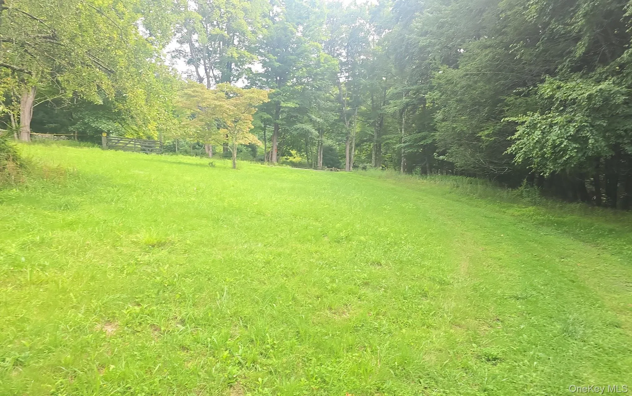 127 Old Cahoonzie Road, Deerpark, NY, ,Land,For Rent,Old Cahoonzie,0,1040301 127 Old Cahoonzie Road, Deerpark, NY, ,Land,For Rent,Old Cahoonzie,0,1040301