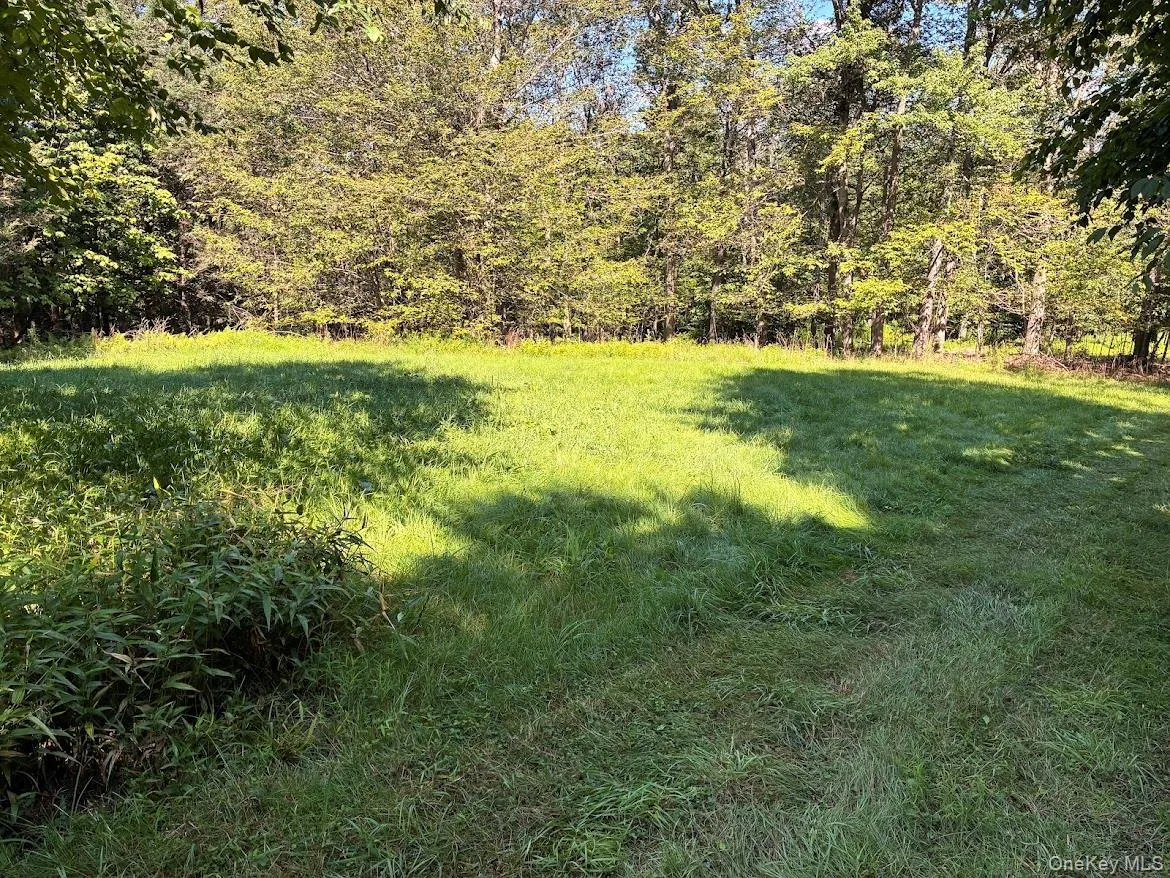 Expansive grassy area bordered by mature trees Expansive grassy area bordered by mature trees