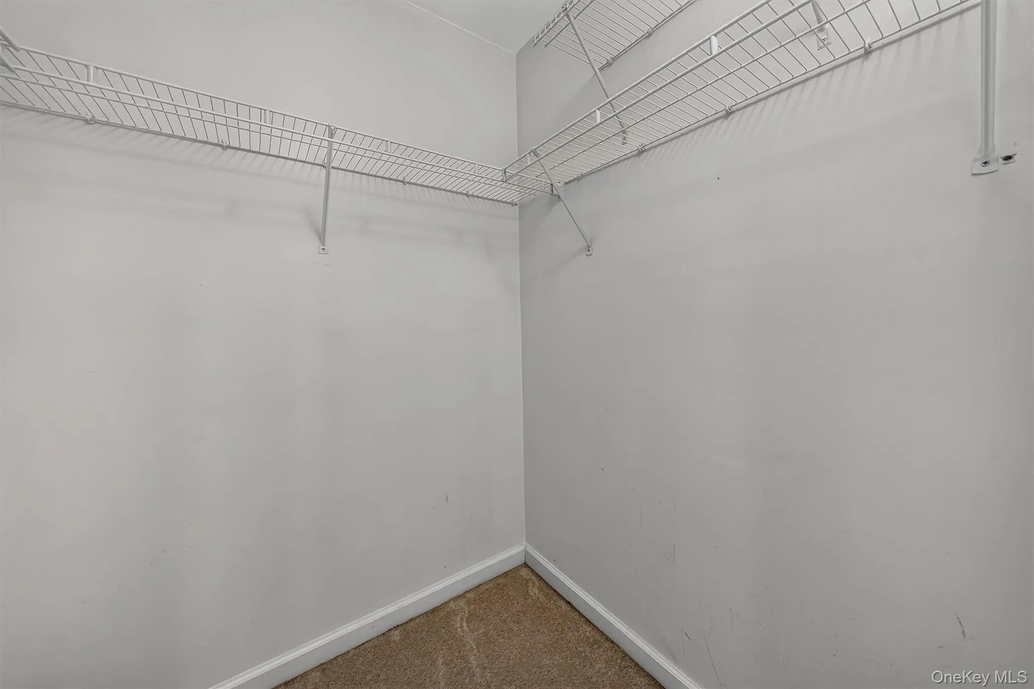 43 Mayer Drive, Middletown, NY, 3 Bedrooms Bedrooms, 5 Rooms Rooms,2 BathroomsBathrooms,Residential,For Rent,Mayer,0,1040368 43 Mayer Drive, Middletown, NY, 3 Bedrooms Bedrooms, 5 Rooms Rooms,2 BathroomsBathrooms,Residential,For Rent,Mayer,0,1040368