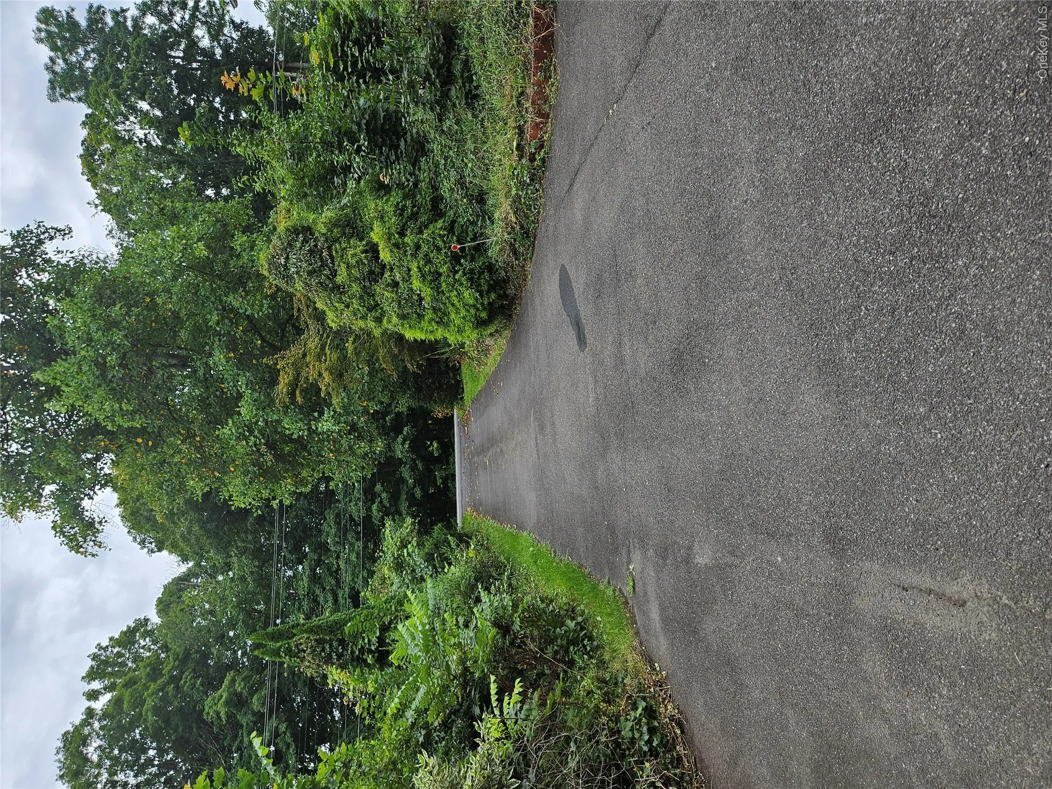 Driveway view showing street entrance Driveway view showing street entrance