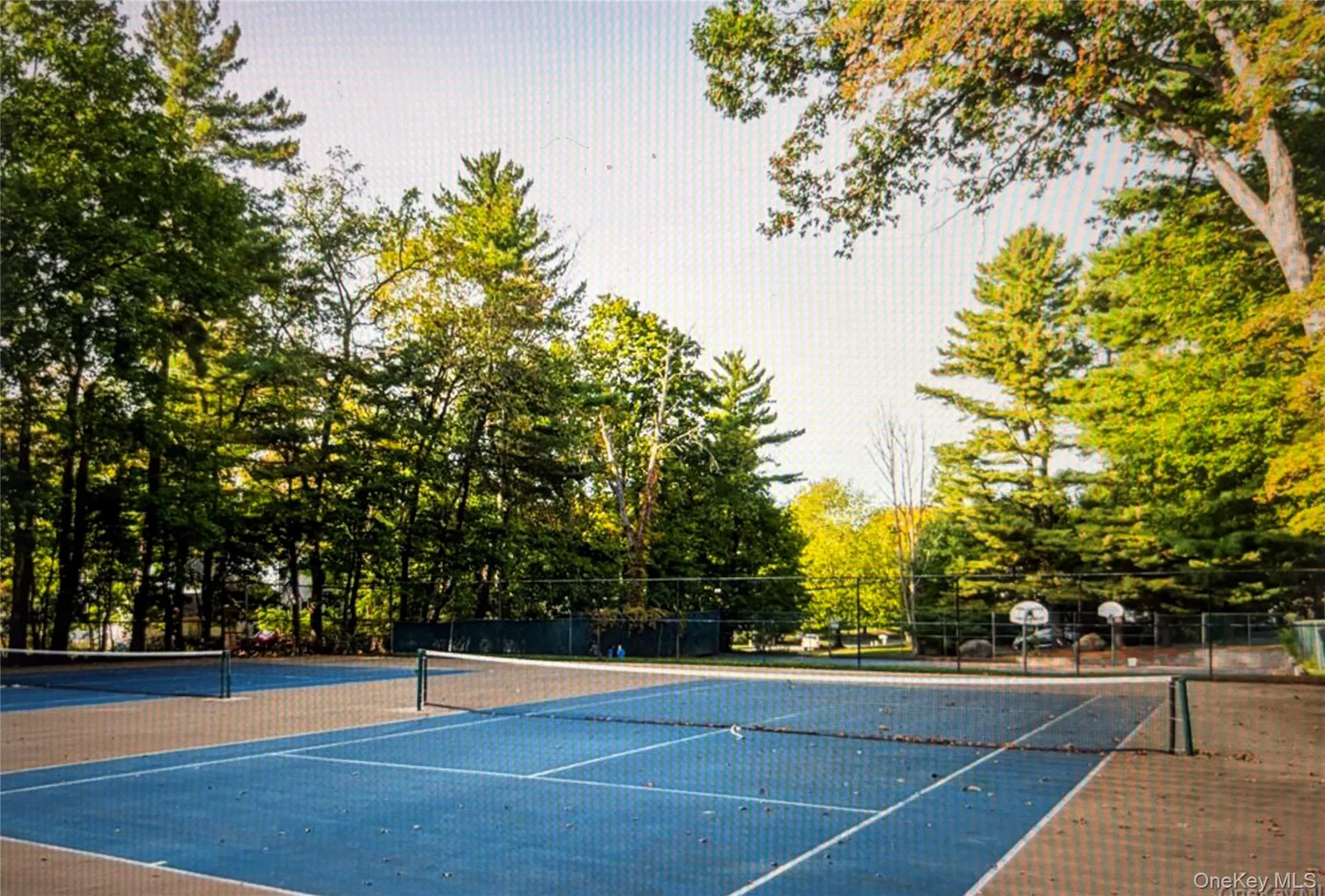 7 Essex Lane, Ramapo, NY, 1 Bedroom Bedrooms, 4 Rooms Rooms,1 BathroomBathrooms,Residential Lease,For Rent,Essex,0,1040413 7 Essex Lane, Ramapo, NY, 1 Bedroom Bedrooms, 4 Rooms Rooms,1 BathroomBathrooms,Residential Lease,For Rent,Essex,0,1040413