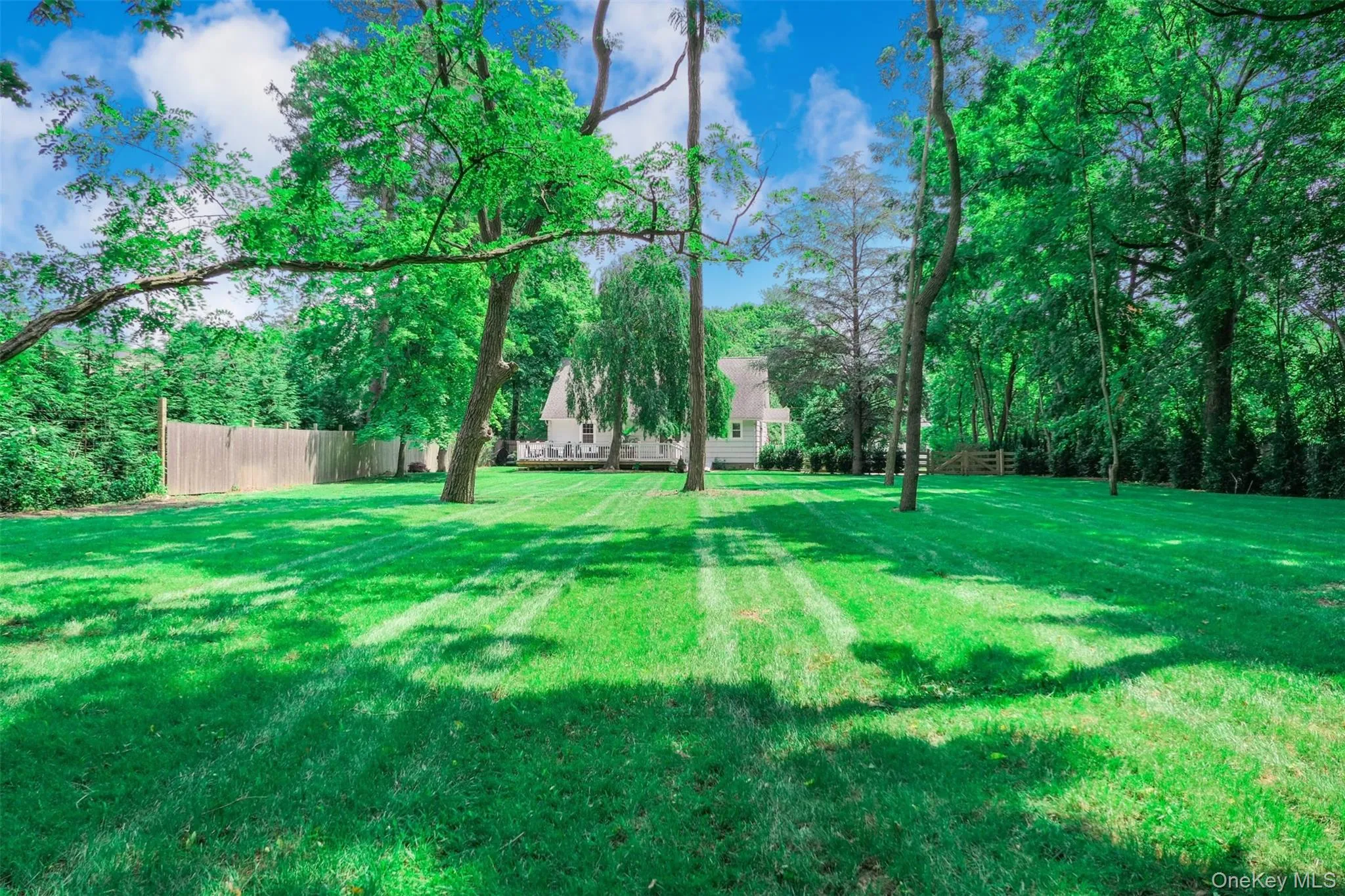 353 Country Road, Brookhaven, NY, 2 Bedrooms Bedrooms, 7 Rooms Rooms,1 BathroomBathrooms,Residential,For Rent,Country,0,1040440 353 Country Road, Brookhaven, NY, 2 Bedrooms Bedrooms, 7 Rooms Rooms,1 BathroomBathrooms,Residential,For Rent,Country,0,1040440