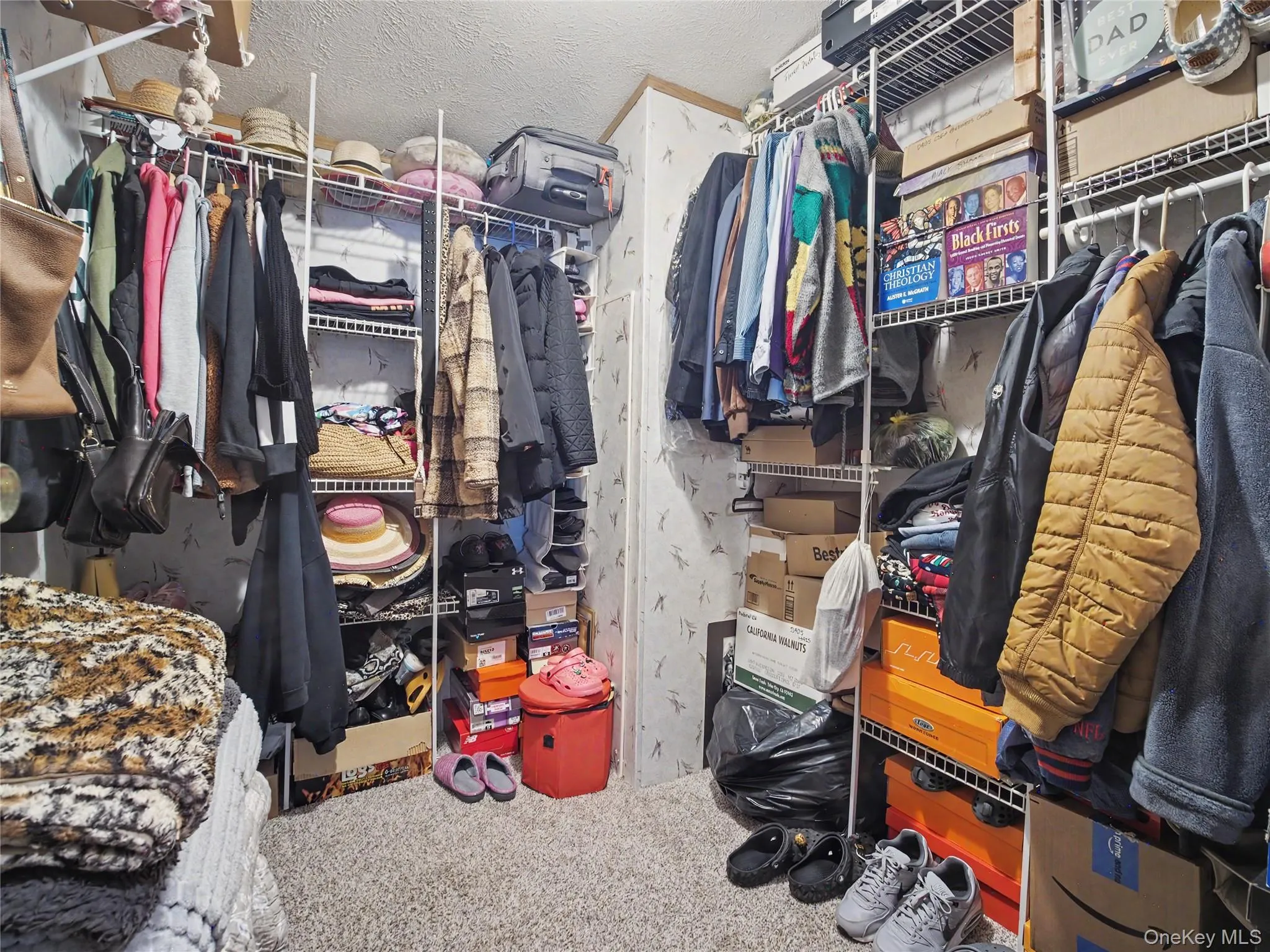 6 Hopf, Clarkstown, NY, 4 Bedrooms Bedrooms, 7 Rooms Rooms,2 BathroomsBathrooms,Residential,For Rent,Hopf,0,1040472 6 Hopf, Clarkstown, NY, 4 Bedrooms Bedrooms, 7 Rooms Rooms,2 BathroomsBathrooms,Residential,For Rent,Hopf,0,1040472