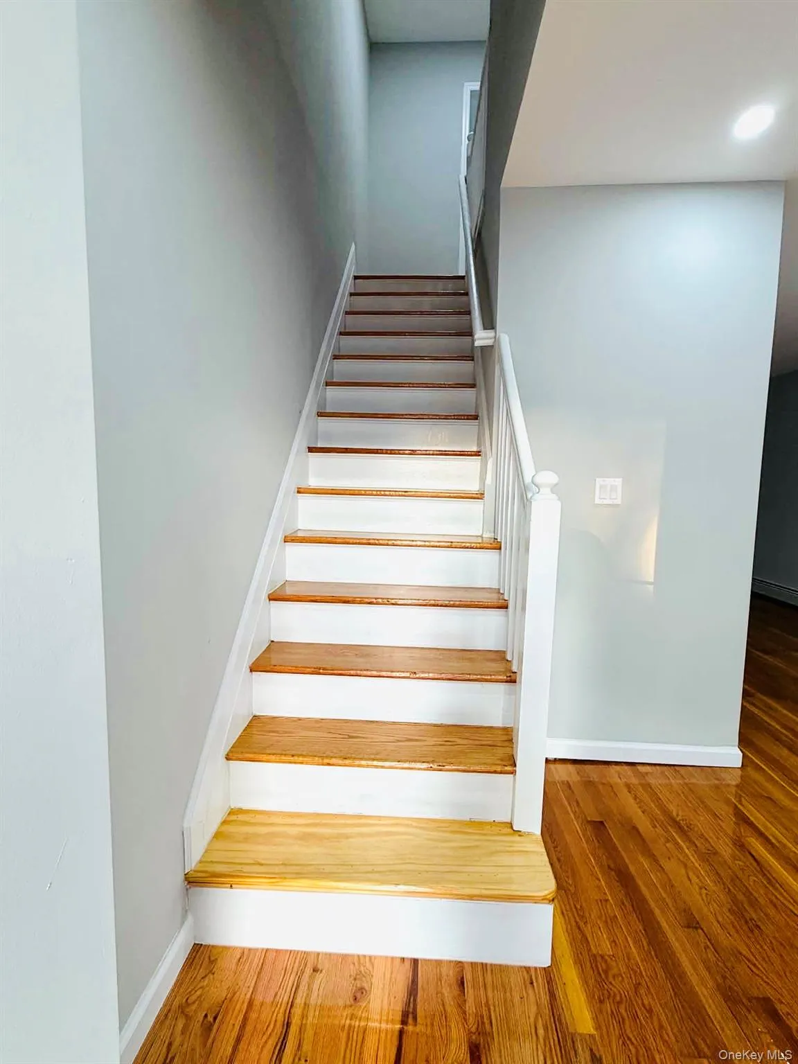 2938 Bouck Avenue, New York, NY, 3 Bedrooms Bedrooms, 8 Rooms Rooms,3 BathroomsBathrooms,Residential,For Rent,Bouck,0,1040489 2938 Bouck Avenue, New York, NY, 3 Bedrooms Bedrooms, 8 Rooms Rooms,3 BathroomsBathrooms,Residential,For Rent,Bouck,0,1040489