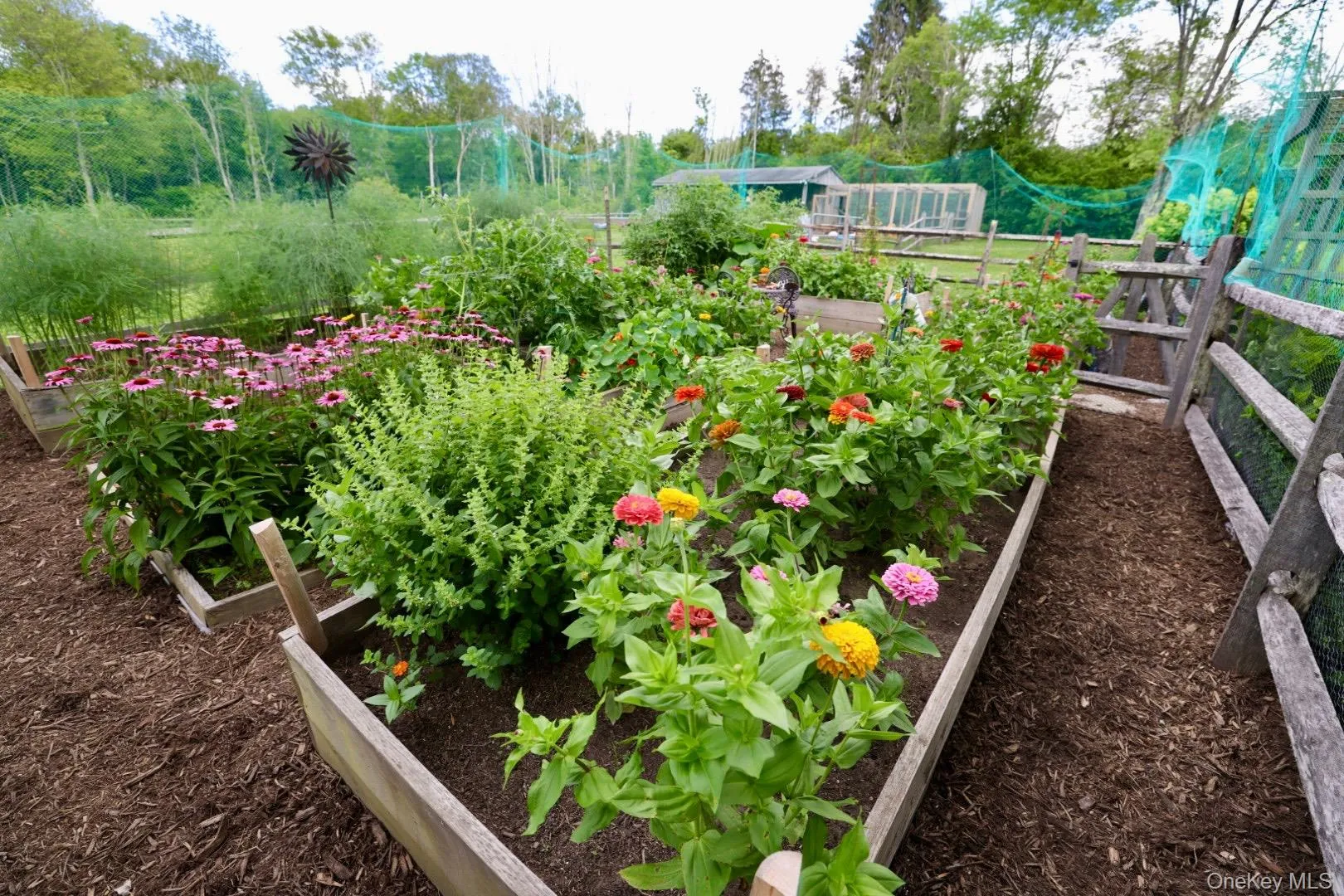 View of yard with a vegetable garden View of yard with a vegetable garden