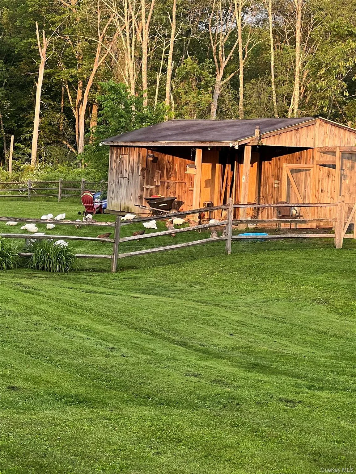 View of green lawn featuring an outdoor structure and view of wooded area View of green lawn featuring an outdoor structure and view of wooded area