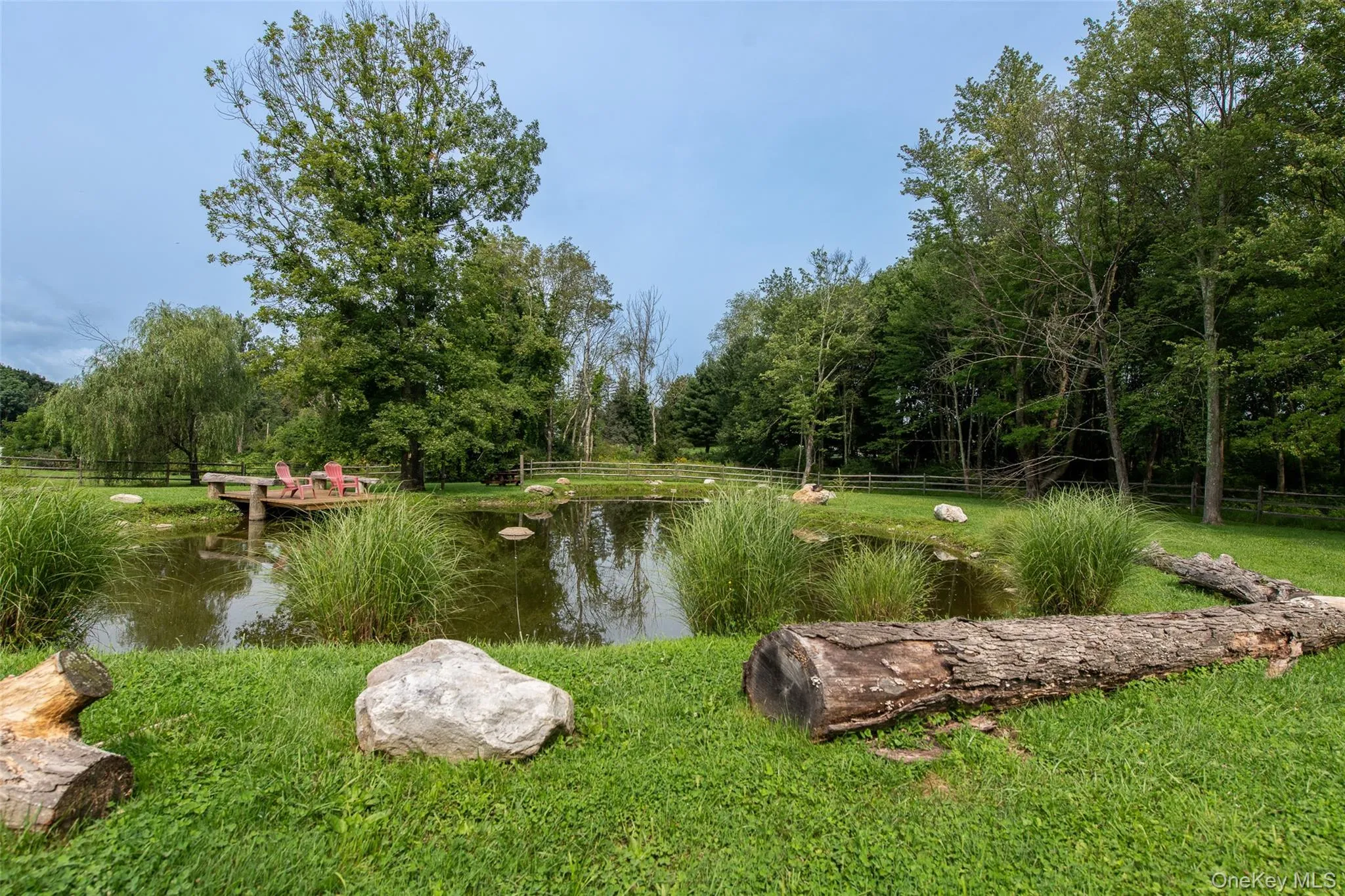 Pond Pond