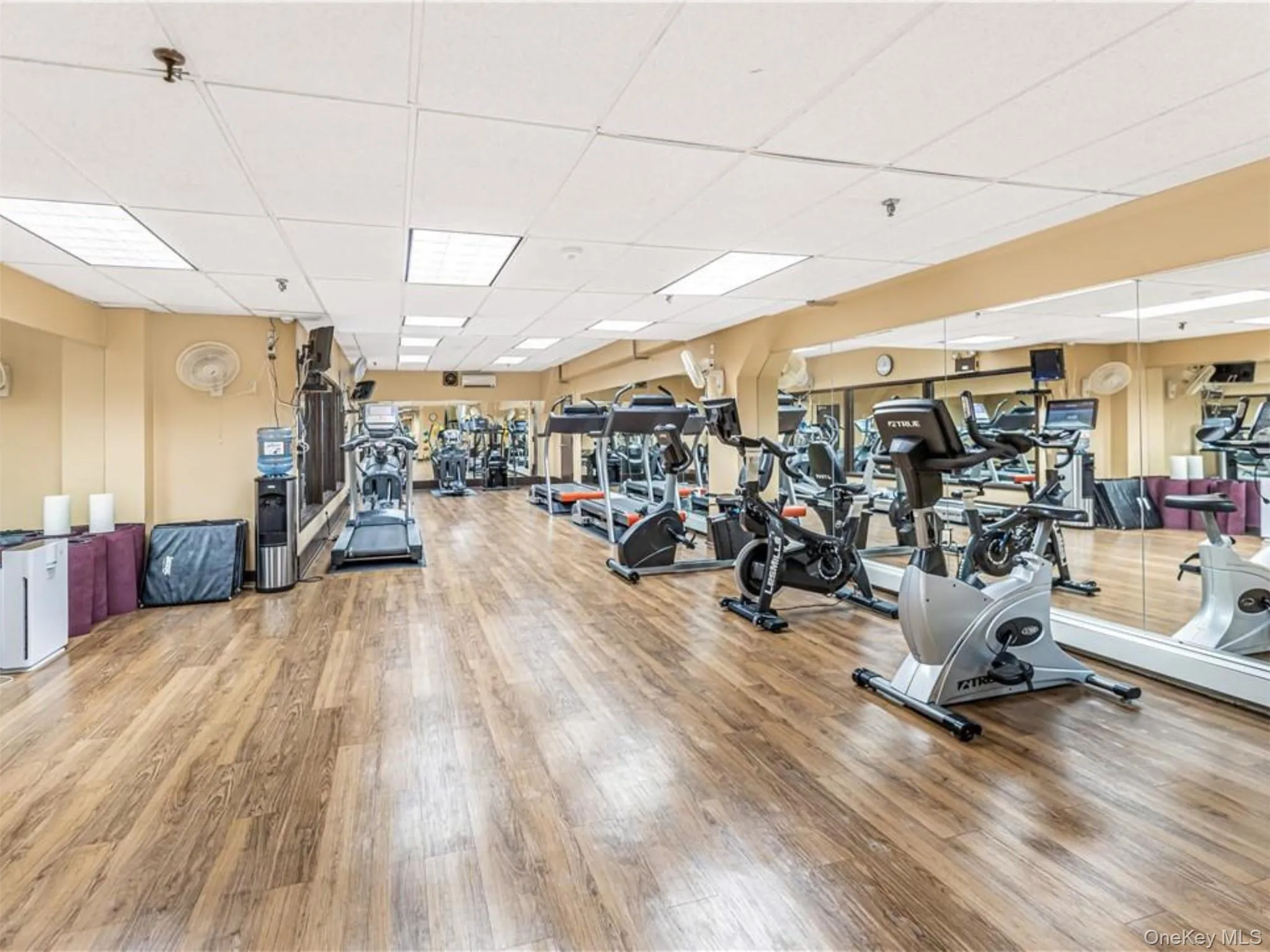 Gym Cardio Side Gym Cardio Side