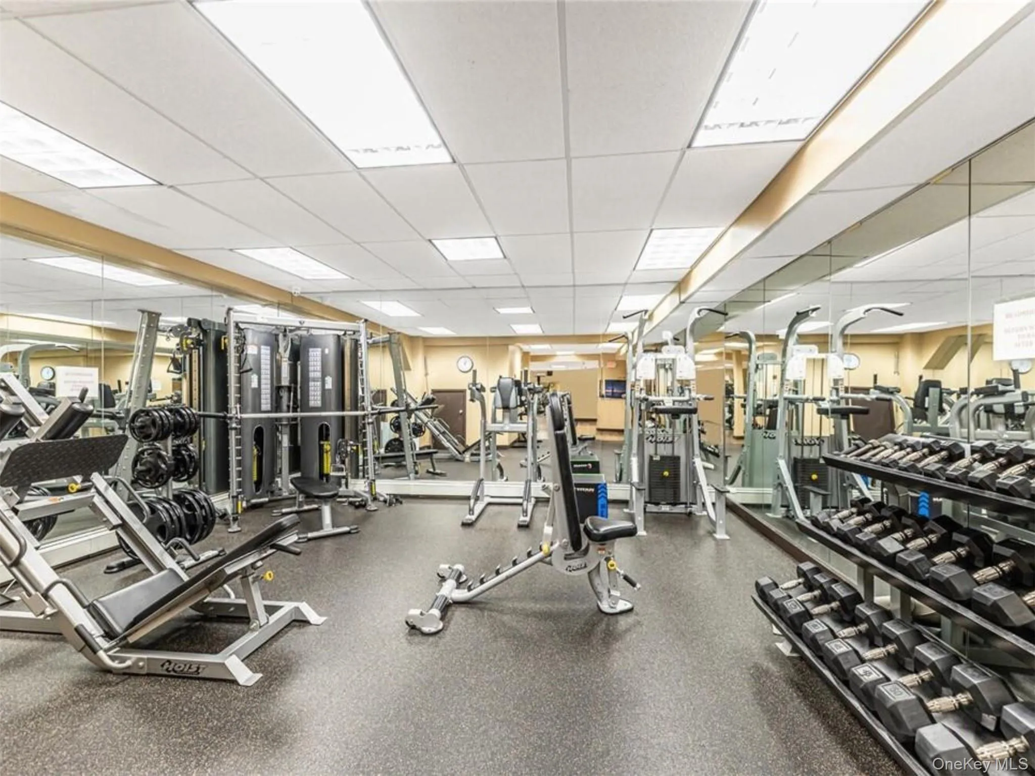 Gym Weights Side Gym Weights Side