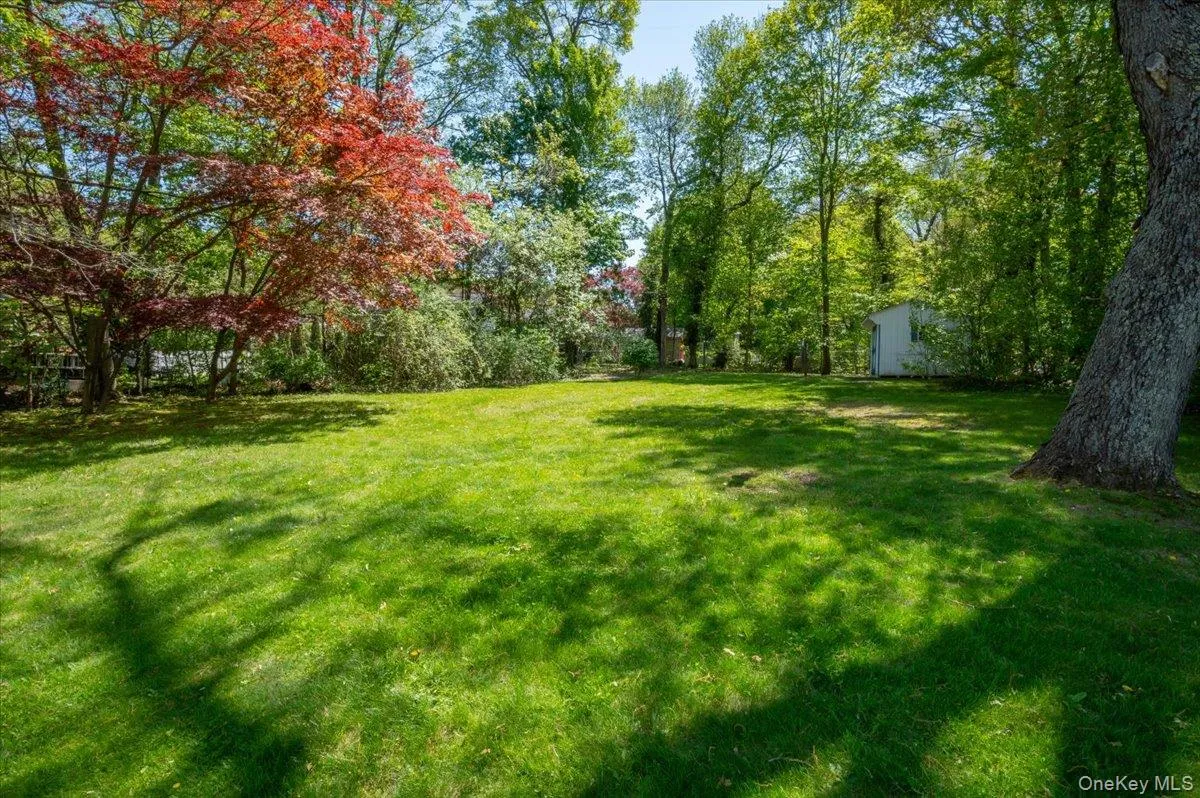 Large yard with shed Large yard with shed