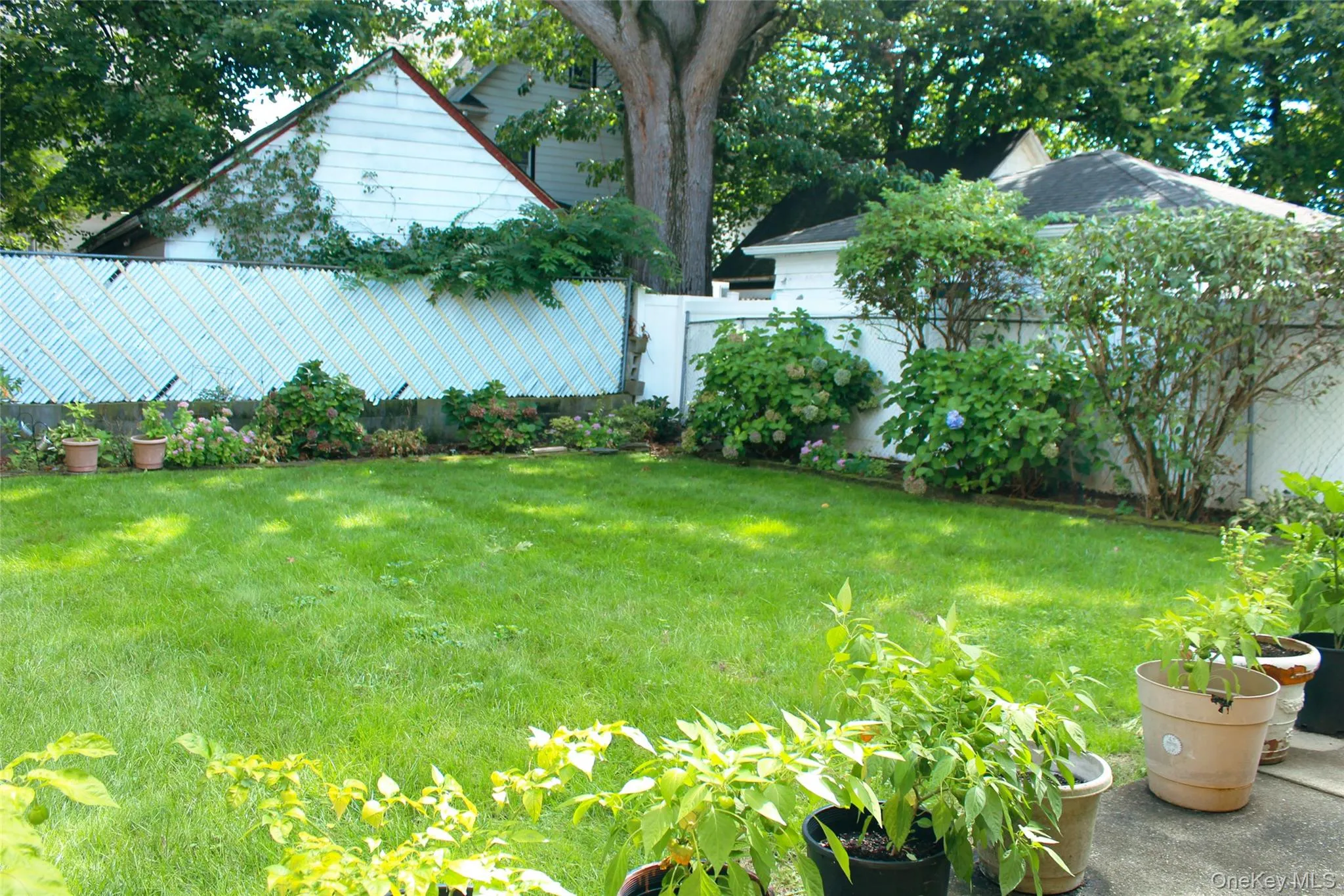Expansive lawn with perimeter landscaping and mature trees , front and back sprinkler system Expansive lawn with perimeter landscaping and mature trees , front and back sprinkler system