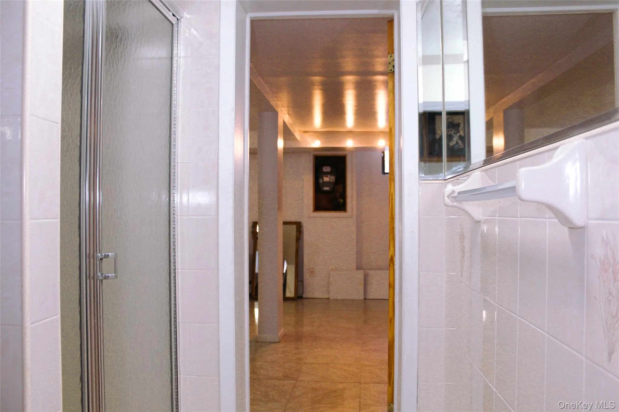 Basement bathroom with tile shower enclosure with frosted glass door Basement bathroom with tile shower enclosure with frosted glass door