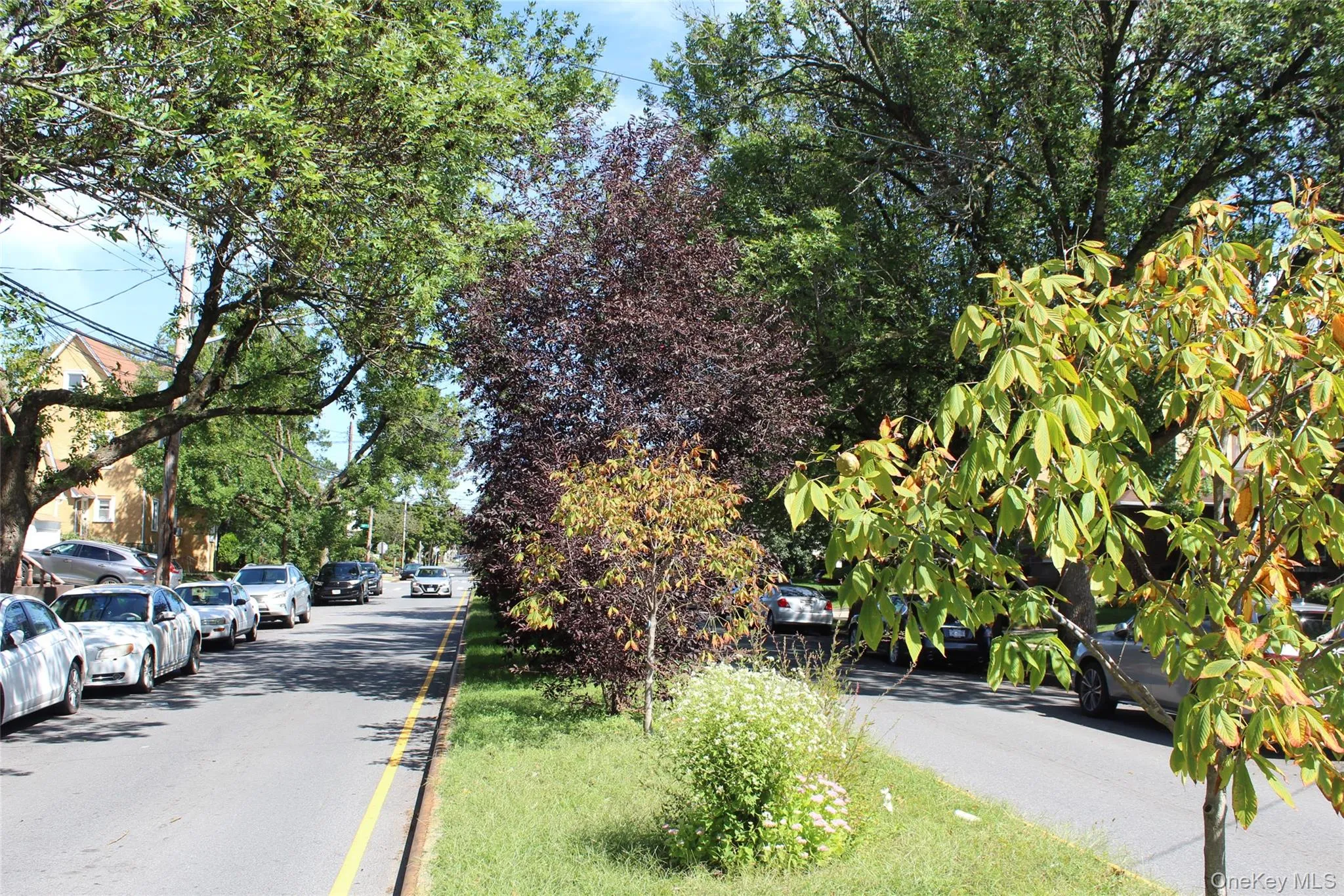 tree lined street with island mall tree lined street with island mall