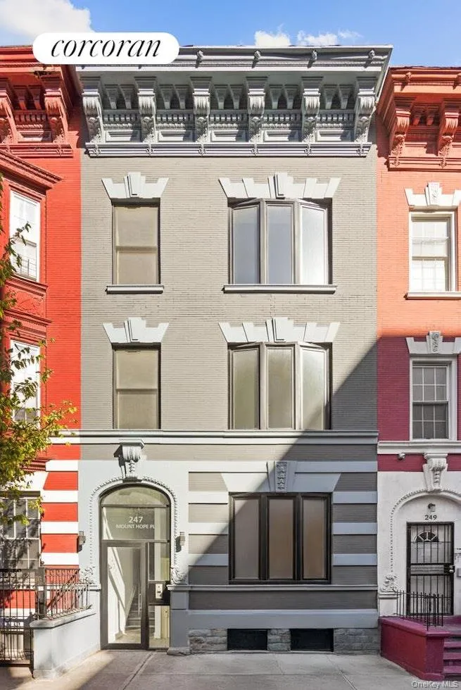247 Mount Hope Place, New York, NY, 3 Bedrooms Bedrooms, 5 Rooms Rooms,2 BathroomsBathrooms,Residential,For Rent,Mount Hope,0,1040646 247 Mount Hope Place, New York, NY, 3 Bedrooms Bedrooms, 5 Rooms Rooms,2 BathroomsBathrooms,Residential,For Rent,Mount Hope,0,1040646