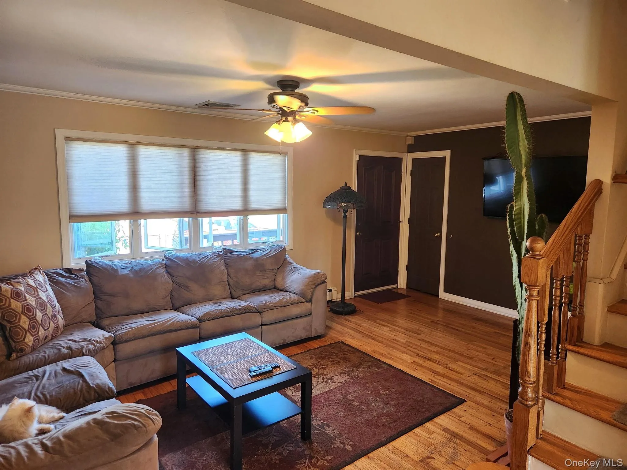 Hardwood flooring throughout, large window with cellular shades, ceiling fan with integrated lighting, dark wood-finish doors, and a wood staircase Hardwood flooring throughout, large window with cellular shades, ceiling fan with integrated lighting, dark wood-finish doors, and a wood staircase