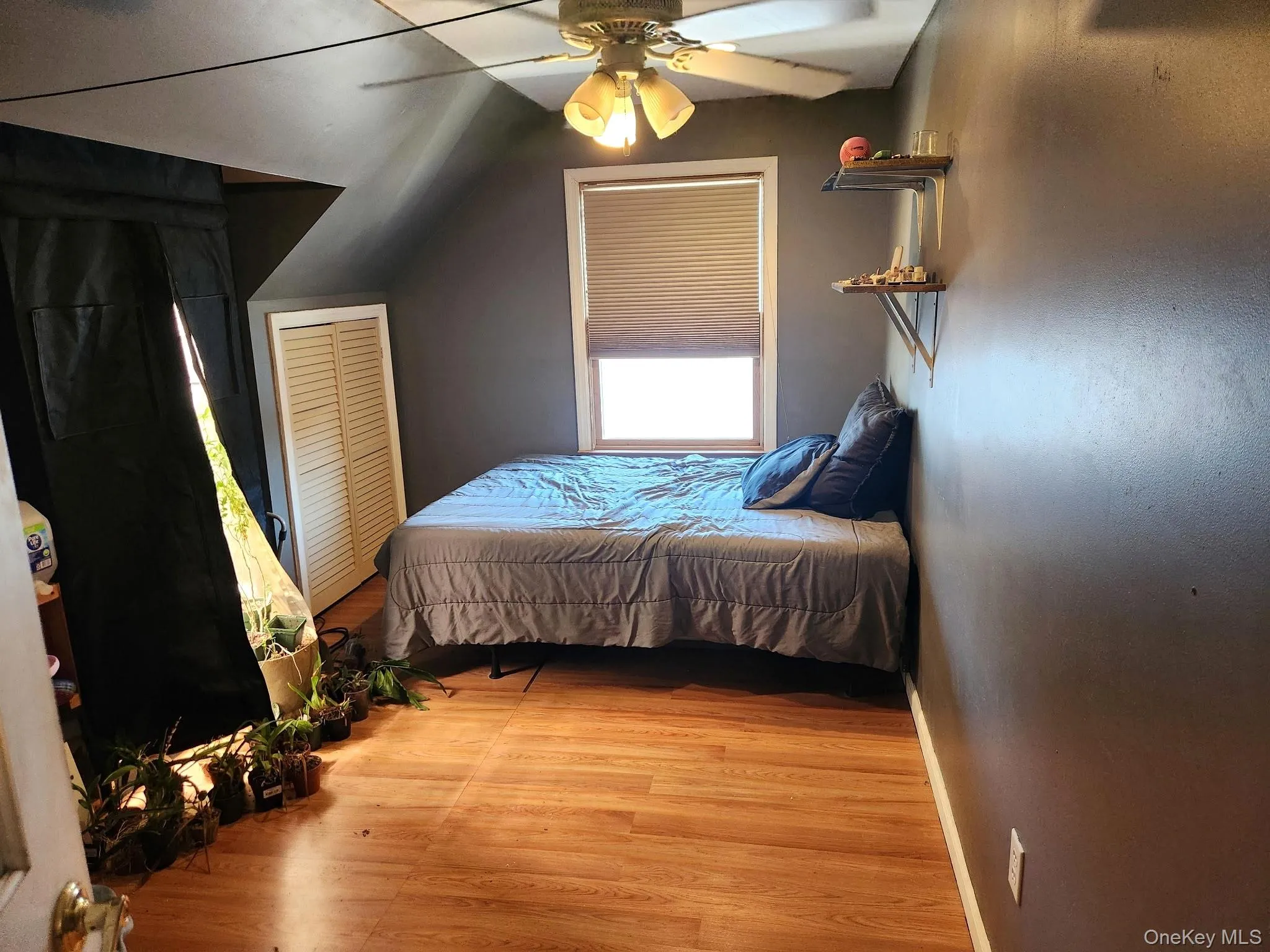 Wood-finish flooring, a ceiling fan with integrated lighting, and shelving Wood-finish flooring, a ceiling fan with integrated lighting, and shelving
