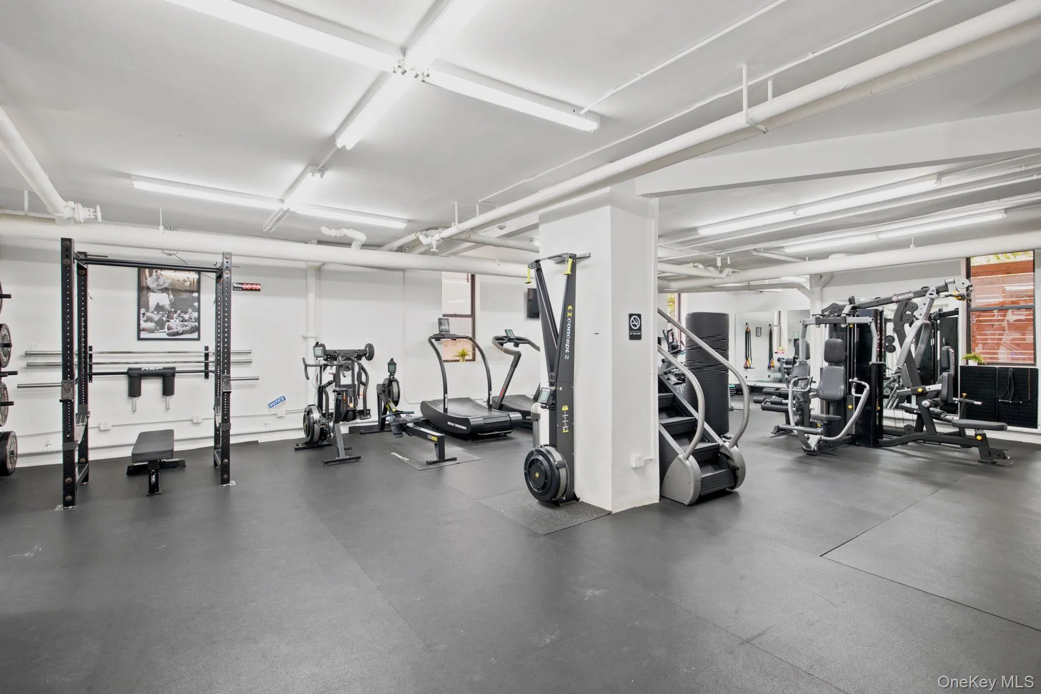 24-65 38th Street, New York, NY, 3 Bedrooms Bedrooms, 6 Rooms Rooms,2 BathroomsBathrooms,Residential,For Rent,38th,0,1040663 24-65 38th Street, New York, NY, 3 Bedrooms Bedrooms, 6 Rooms Rooms,2 BathroomsBathrooms,Residential,For Rent,38th,0,1040663