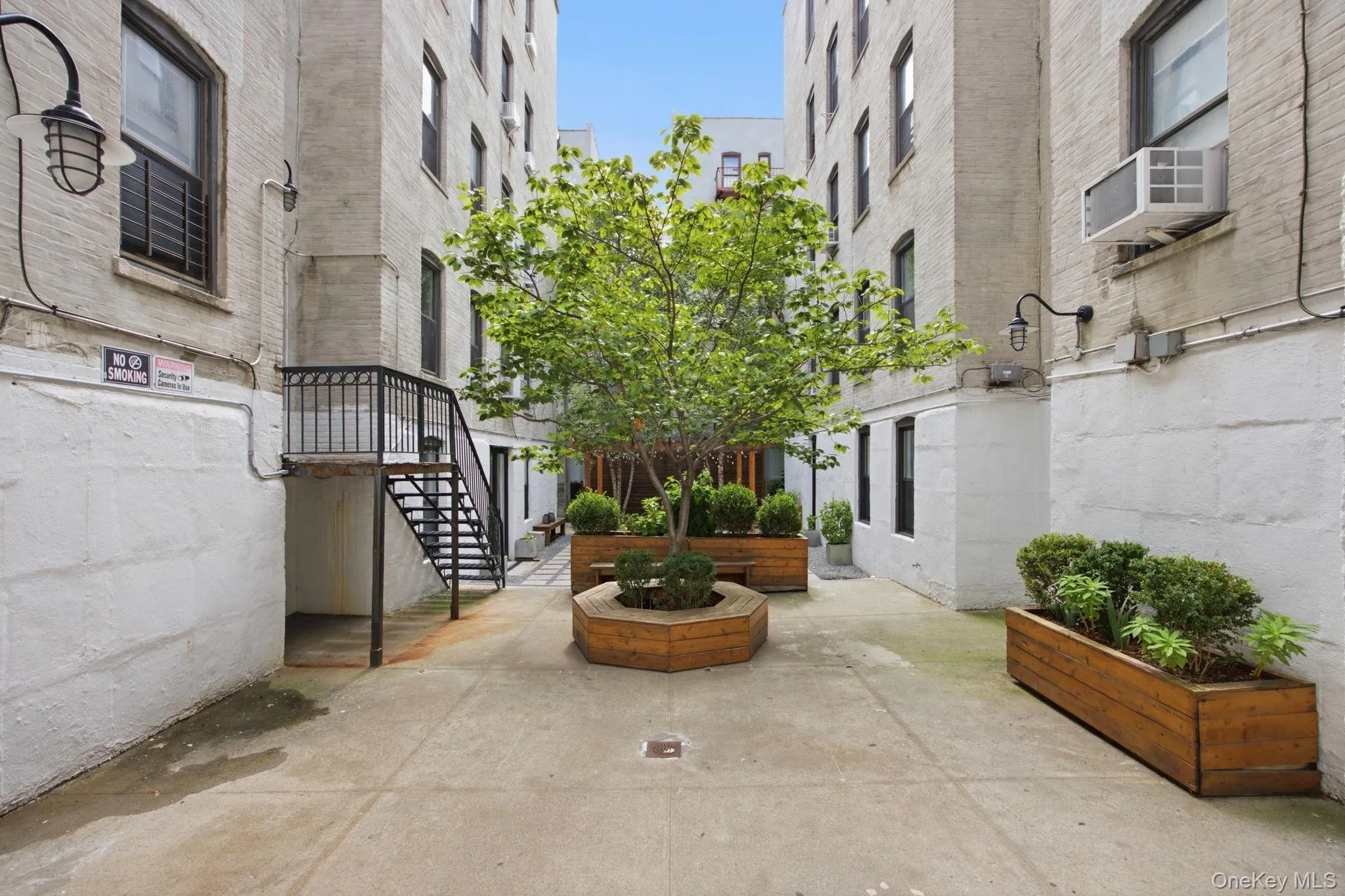 24-65 38th Street, New York, NY, 3 Bedrooms Bedrooms, 6 Rooms Rooms,2 BathroomsBathrooms,Residential,For Rent,38th,0,1040663 24-65 38th Street, New York, NY, 3 Bedrooms Bedrooms, 6 Rooms Rooms,2 BathroomsBathrooms,Residential,For Rent,38th,0,1040663
