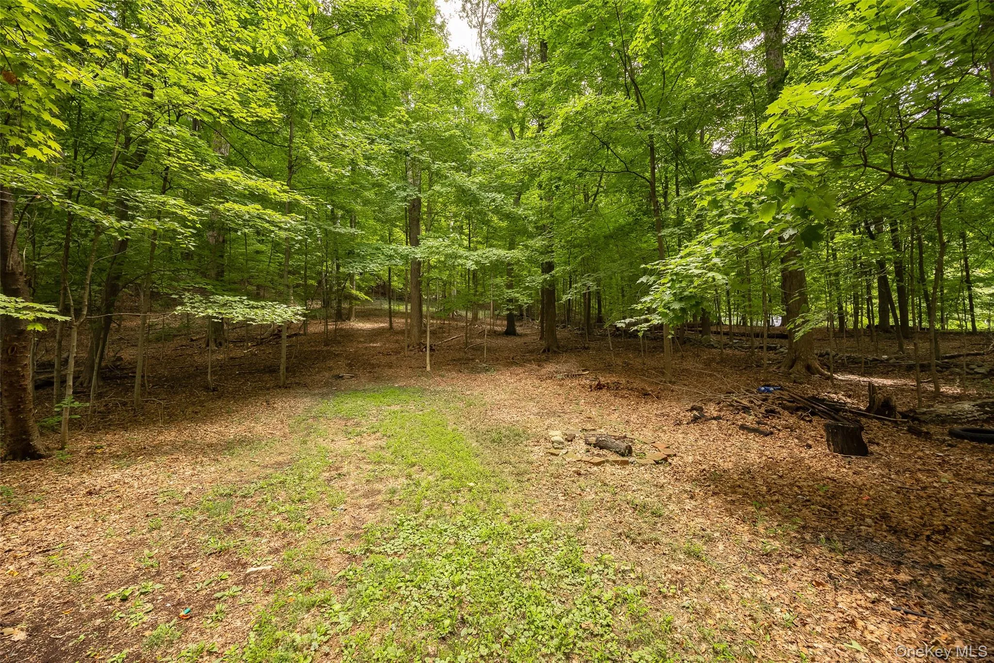 36 Greenwood Drive, Fishkill, NY, 3 Bedrooms Bedrooms, 10 Rooms Rooms,2 BathroomsBathrooms,Residential,For Rent,Greenwood,0,1040690 36 Greenwood Drive, Fishkill, NY, 3 Bedrooms Bedrooms, 10 Rooms Rooms,2 BathroomsBathrooms,Residential,For Rent,Greenwood,0,1040690