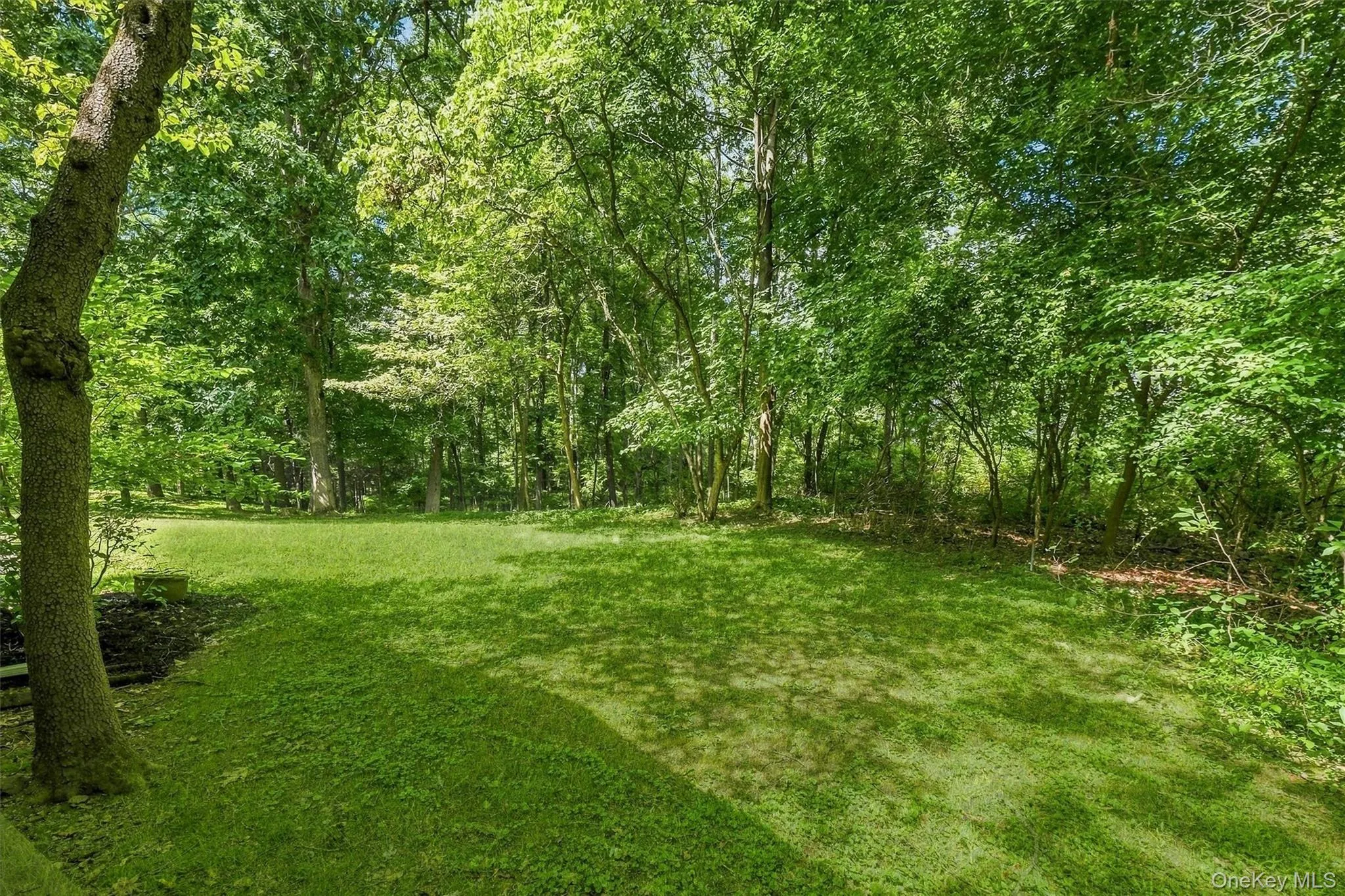 Nice backyard with privacy of woods in rear Nice backyard with privacy of woods in rear