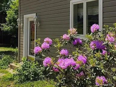 6197 State Route 42, Fallsburg, NY, 3 Bedrooms Bedrooms, 6 Rooms Rooms,2 BathroomsBathrooms,Residential,For Rent,State Route 42,0,1040738 6197 State Route 42, Fallsburg, NY, 3 Bedrooms Bedrooms, 6 Rooms Rooms,2 BathroomsBathrooms,Residential,For Rent,State Route 42,0,1040738