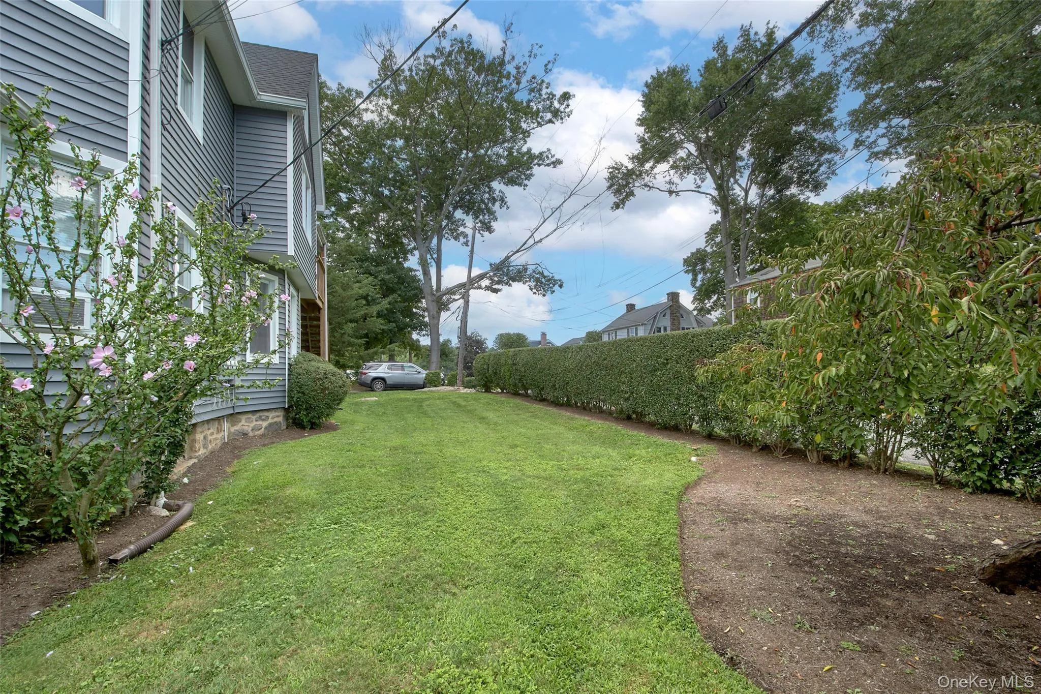 Side yard Side yard