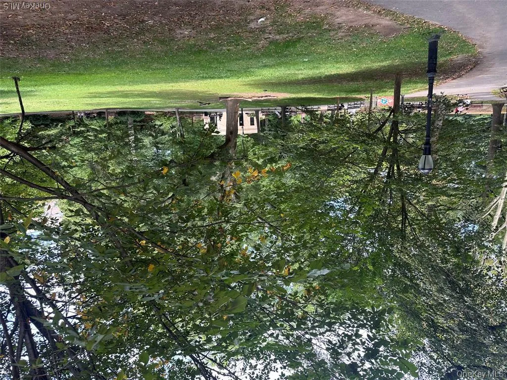 Park Park