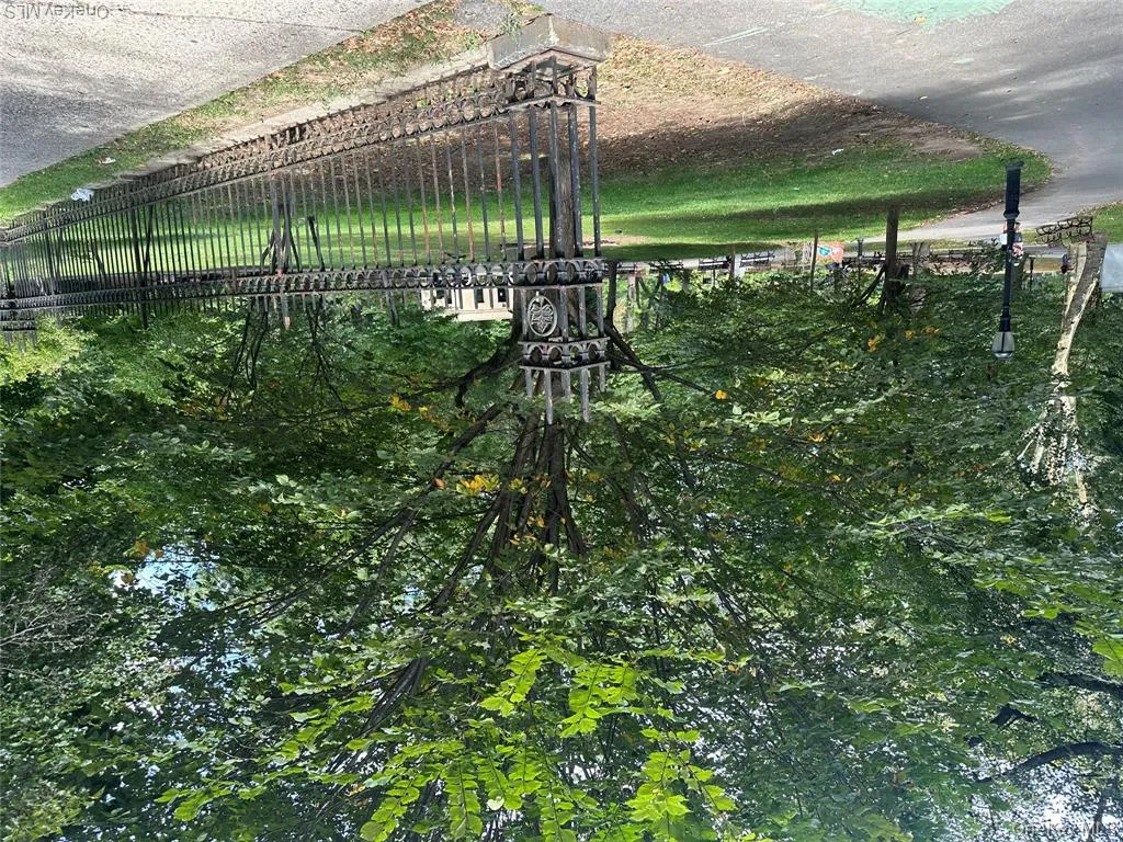 Park Park