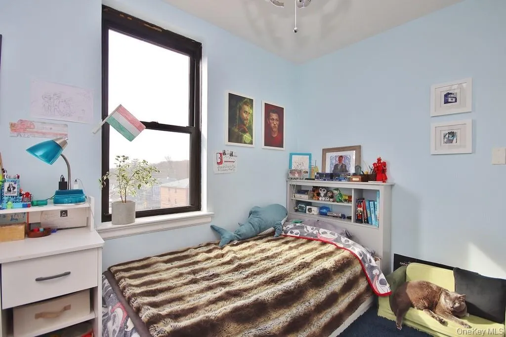 Single window with dark frame, light blue walls, and ceiling fan Single window with dark frame, light blue walls, and ceiling fan