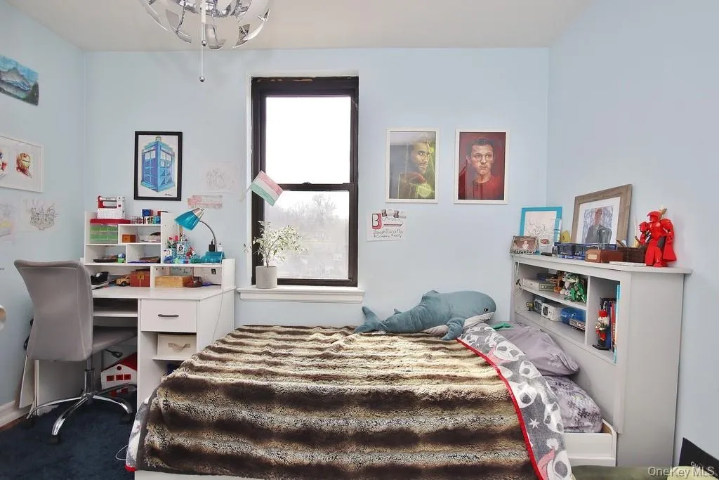 Window with dark trim, light blue wall paint, built-in shelving, and dark floor covering Window with dark trim, light blue wall paint, built-in shelving, and dark floor covering