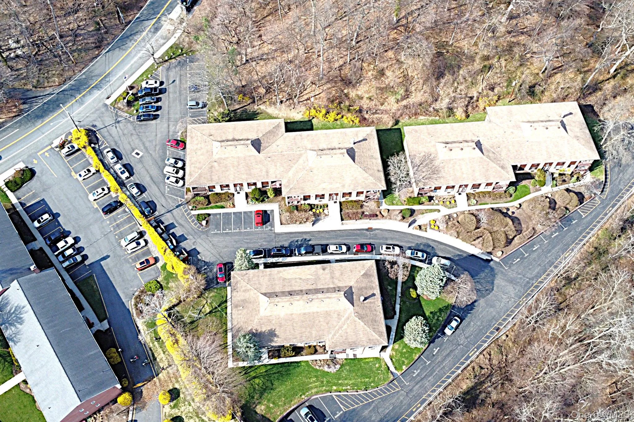 9 Lawrence Park Drive, Orangetown, NY, 2 Bedrooms Bedrooms, 6 Rooms Rooms,1 BathroomBathrooms,Residential,For Rent,Lawrence Park,0,1040836 9 Lawrence Park Drive, Orangetown, NY, 2 Bedrooms Bedrooms, 6 Rooms Rooms,1 BathroomBathrooms,Residential,For Rent,Lawrence Park,0,1040836