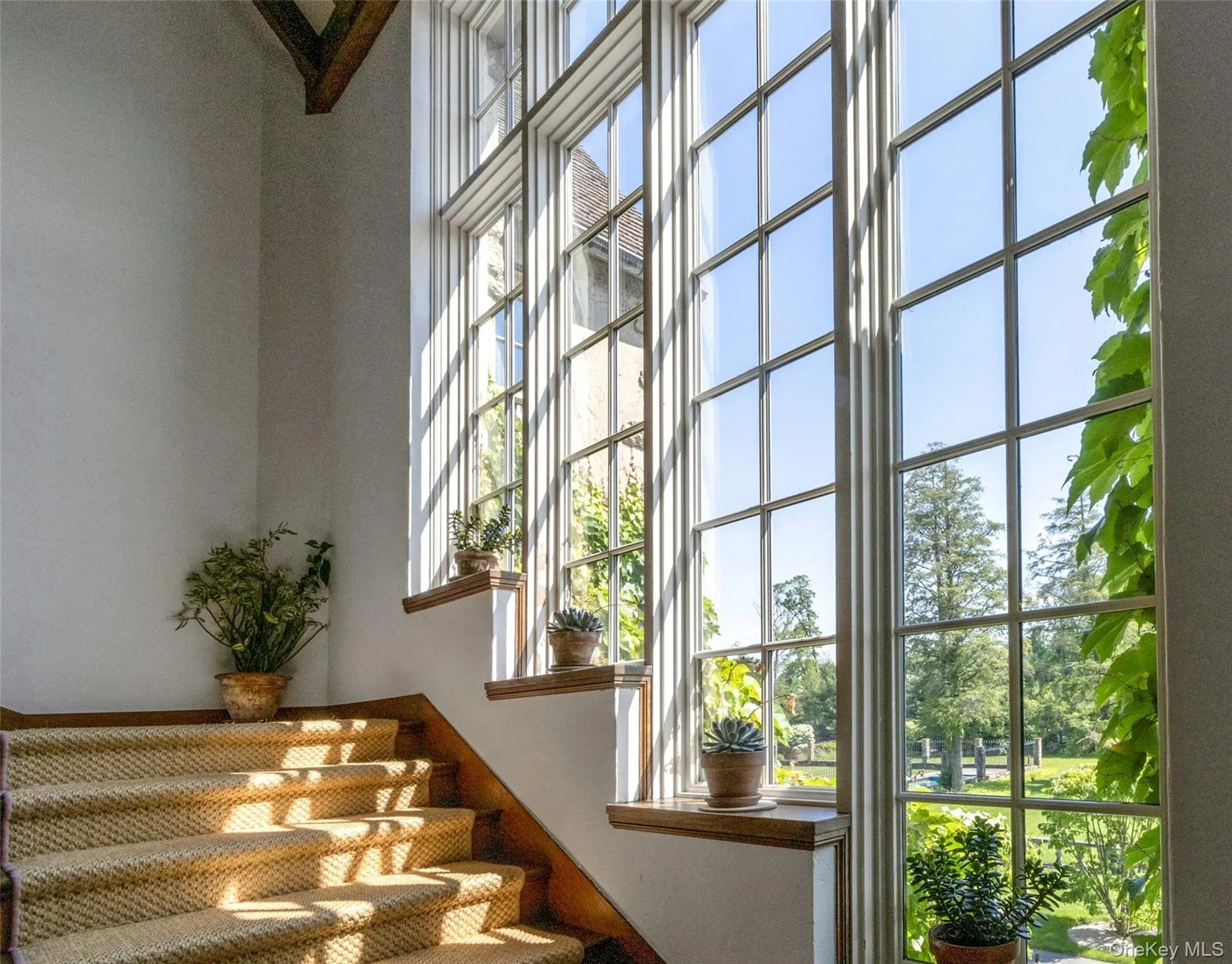 120 Ridge Road, Tuxedo, NY, 19 Bedrooms Bedrooms, 41 Rooms Rooms,20 BathroomsBathrooms,Residential,For Rent,Ridge,0,1040853 120 Ridge Road, Tuxedo, NY, 19 Bedrooms Bedrooms, 41 Rooms Rooms,20 BathroomsBathrooms,Residential,For Rent,Ridge,0,1040853