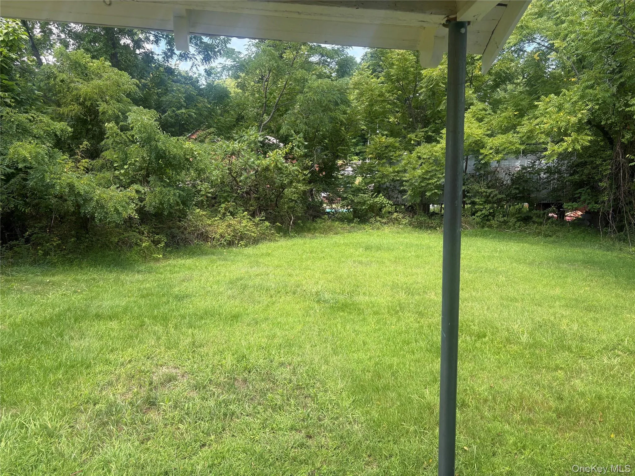 Expansive grassy yard area with mature trees and foliage bordering the perimeter Expansive grassy yard area with mature trees and foliage bordering the perimeter