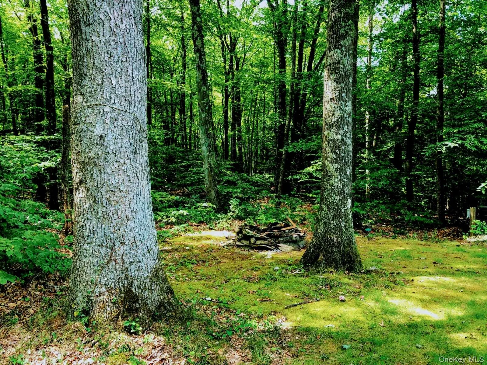 30 Old East Road, Plattekill, NY, 3 Bedrooms Bedrooms, 7 Rooms Rooms,1 BathroomBathrooms,Residential,For Rent,Old East,0,1040895 30 Old East Road, Plattekill, NY, 3 Bedrooms Bedrooms, 7 Rooms Rooms,1 BathroomBathrooms,Residential,For Rent,Old East,0,1040895