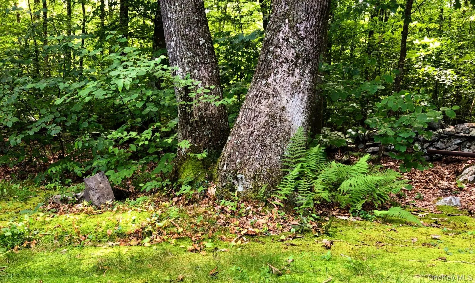 30 Old East Road, Plattekill, NY, 3 Bedrooms Bedrooms, 7 Rooms Rooms,1 BathroomBathrooms,Residential,For Rent,Old East,0,1040895 30 Old East Road, Plattekill, NY, 3 Bedrooms Bedrooms, 7 Rooms Rooms,1 BathroomBathrooms,Residential,For Rent,Old East,0,1040895