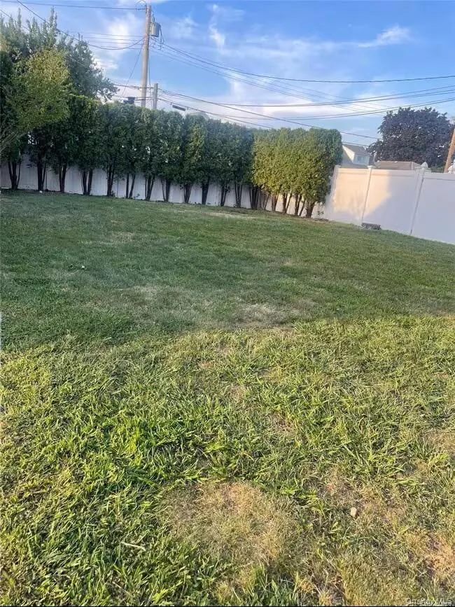 Backyard Backyard