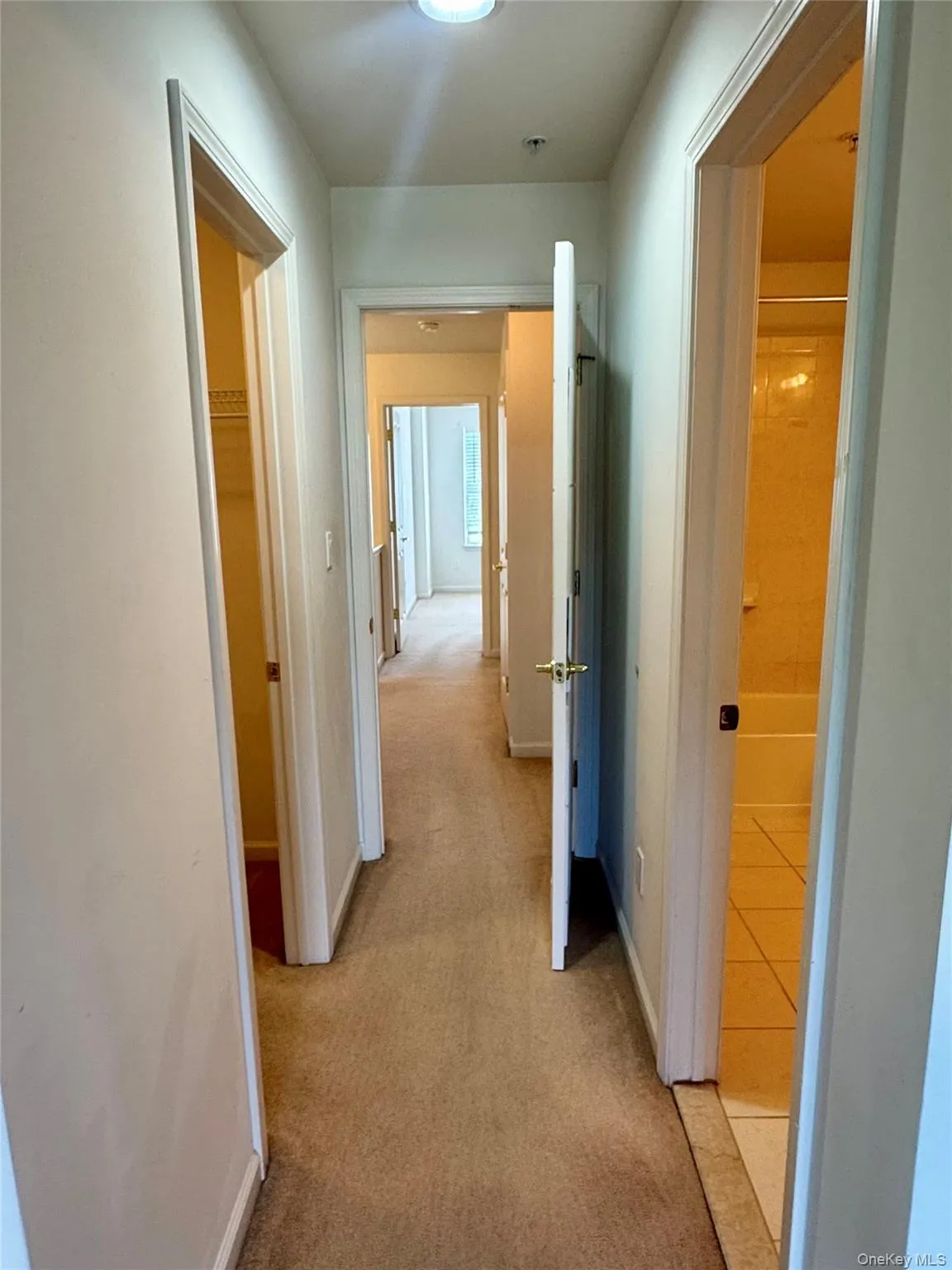 19 Putters Way, Wallkill, NY, 2 Bedrooms Bedrooms, 5 Rooms Rooms,2 BathroomsBathrooms,Residential Lease,For Rent,Putters,0,1040942 19 Putters Way, Wallkill, NY, 2 Bedrooms Bedrooms, 5 Rooms Rooms,2 BathroomsBathrooms,Residential Lease,For Rent,Putters,0,1040942