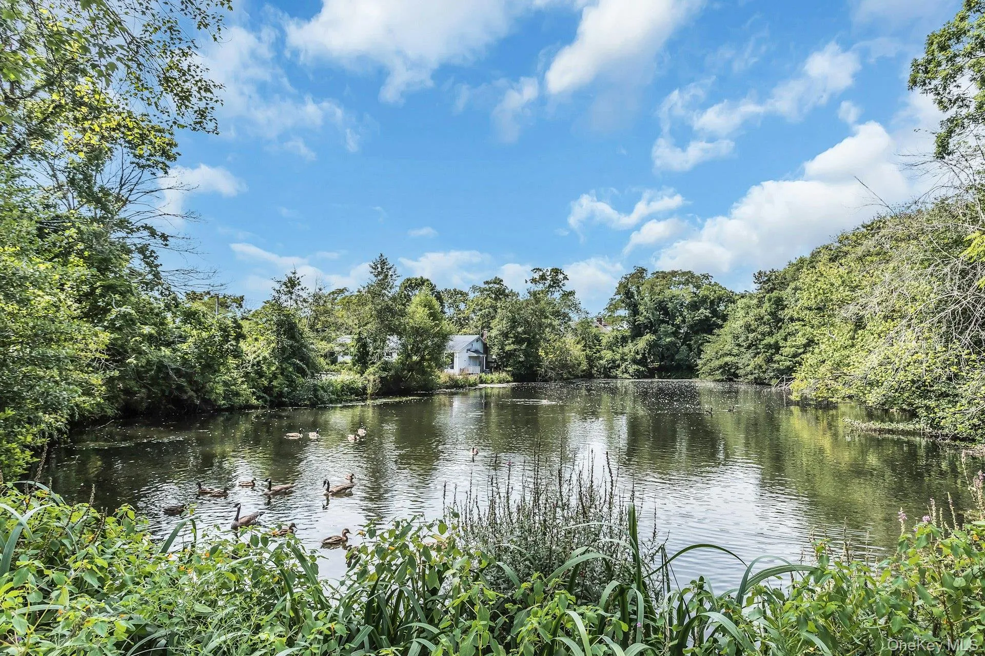 8 Baymens Court, Islip, NY, 3 Bedrooms Bedrooms, 6 Rooms Rooms,1 BathroomBathrooms,Residential,For Rent,Baymens,0,1040976 8 Baymens Court, Islip, NY, 3 Bedrooms Bedrooms, 6 Rooms Rooms,1 BathroomBathrooms,Residential,For Rent,Baymens,0,1040976