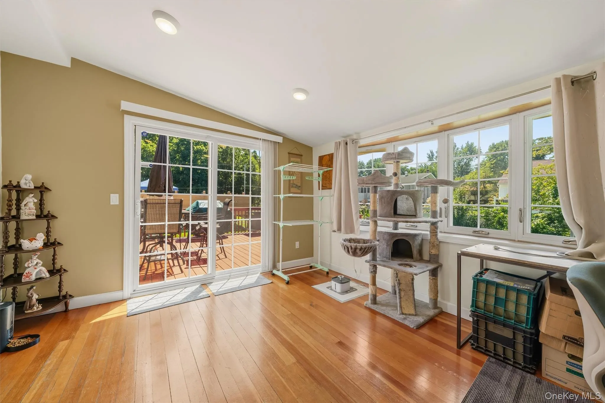 3 Allerton Avenue, Middletown, NY, 3 Bedrooms Bedrooms, 11 Rooms Rooms,2 BathroomsBathrooms,Residential,For Rent,Allerton,0,1041000 3 Allerton Avenue, Middletown, NY, 3 Bedrooms Bedrooms, 11 Rooms Rooms,2 BathroomsBathrooms,Residential,For Rent,Allerton,0,1041000