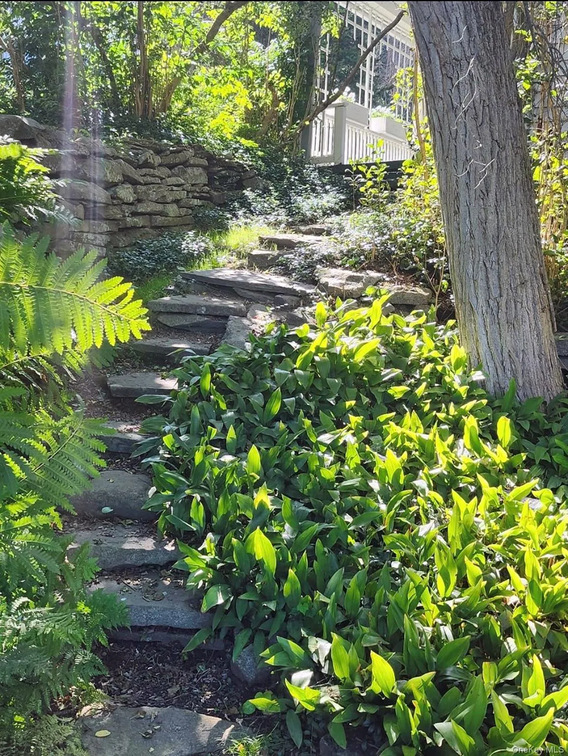 Ancient stone steps to front yard Ancient stone steps to front yard