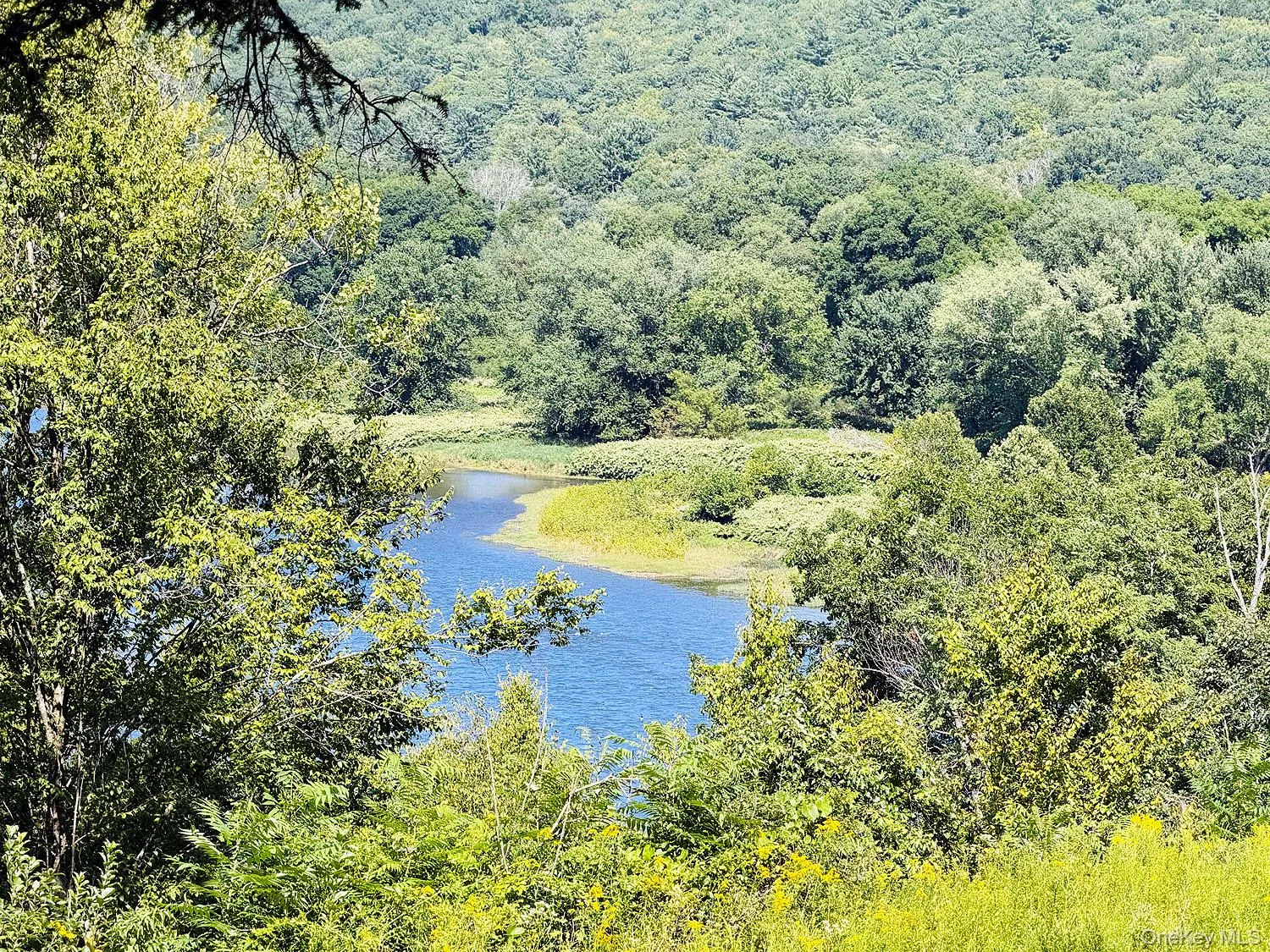 Terrific river view! Terrific river view!
