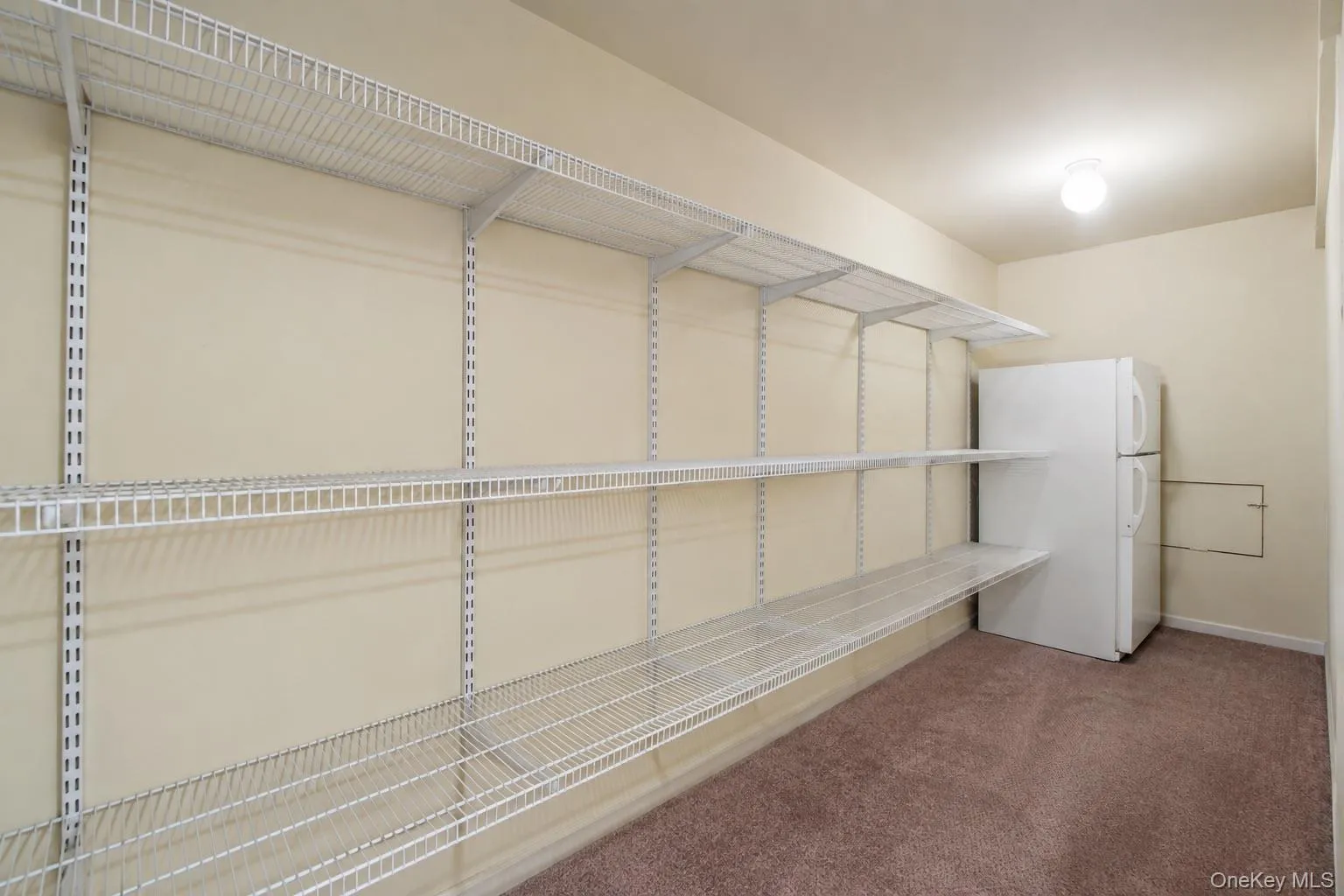 Spacious Storage Closet with an Extra Refrigerator, Offering Convenient Space for Beverages, Bulk Items, Entertaining Supplies, and Everyday Essentials. Spacious Storage Closet with an Extra Refrigerator, Offering Convenient Space for Beverages, Bulk Items, Entertaining Supplies, and Everyday Essentials.