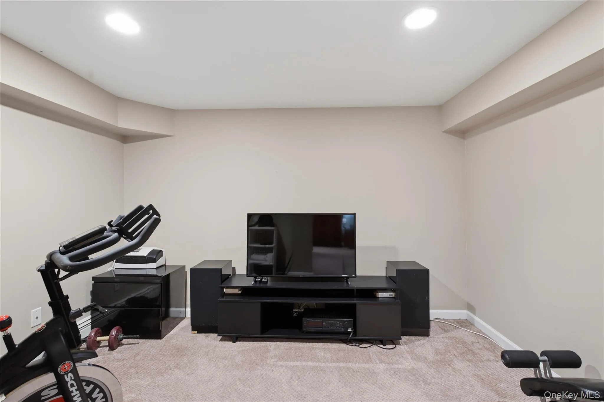 Use this Additional Space as Your Gym, Office, Recreation Room—or Whatever Suits your Lifestyle. The possibilities are Endless! Use this Additional Space as Your Gym, Office, Recreation Room—or Whatever Suits your Lifestyle. The possibilities are Endless!