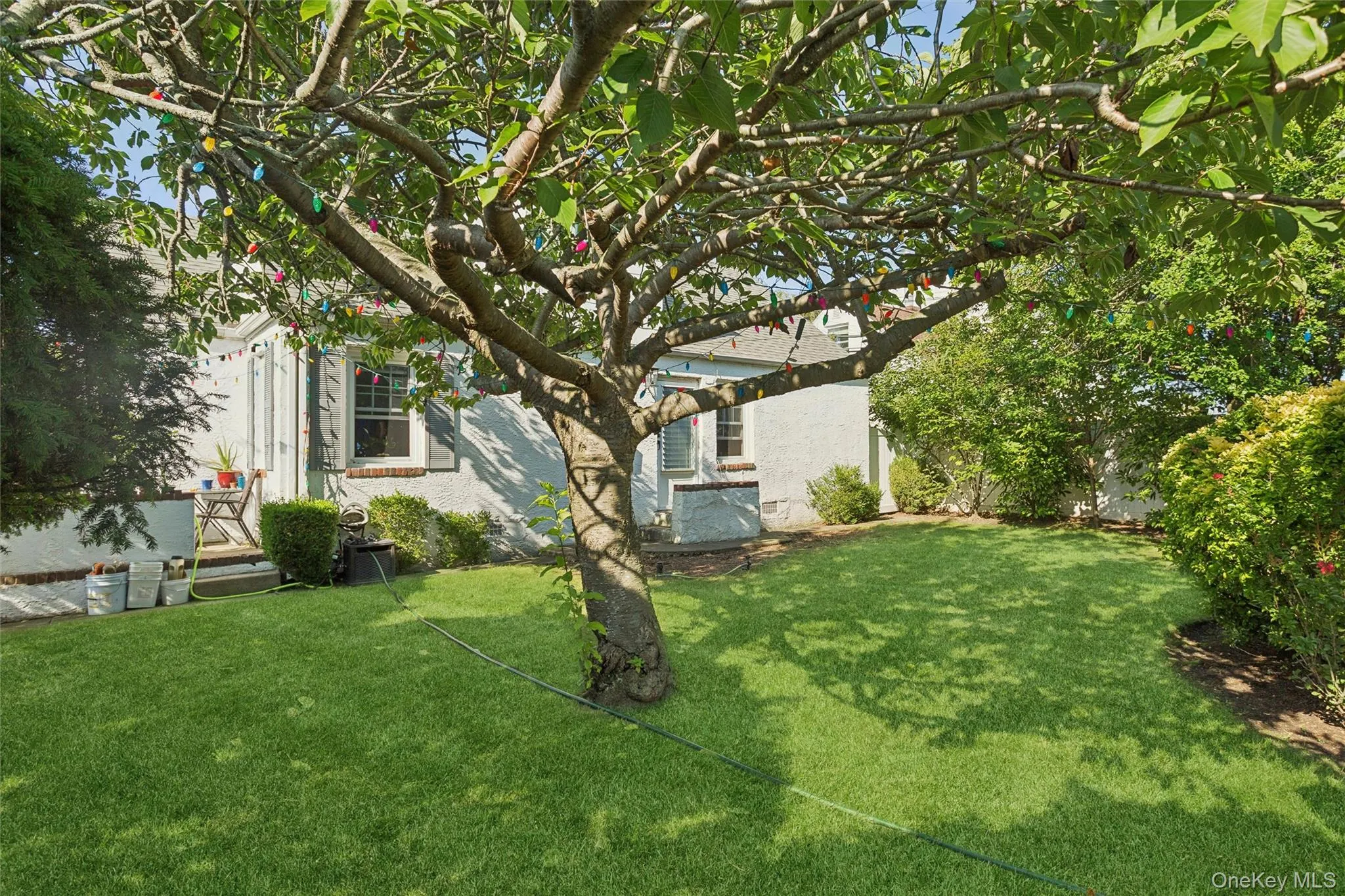142 Cleveland, Long Beach, NY, 4 Bedrooms Bedrooms, 10 Rooms Rooms,2 BathroomsBathrooms,Residential,For Rent,Cleveland,0,1041058 142 Cleveland, Long Beach, NY, 4 Bedrooms Bedrooms, 10 Rooms Rooms,2 BathroomsBathrooms,Residential,For Rent,Cleveland,0,1041058