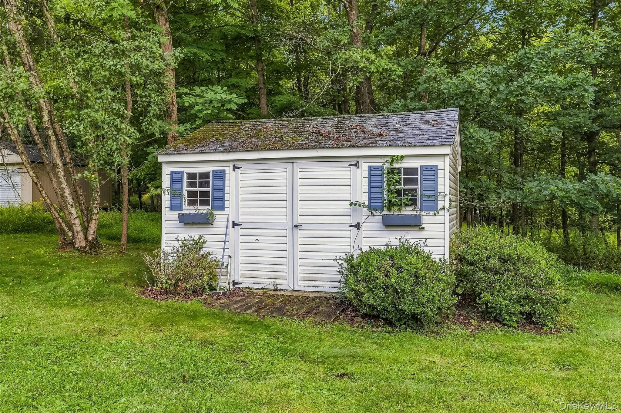 35 Cunningham, Monroe, NY, 4 Bedrooms Bedrooms, 9 Rooms Rooms,2 BathroomsBathrooms,Residential Lease,For Rent,Cunningham,0,1041076 35 Cunningham, Monroe, NY, 4 Bedrooms Bedrooms, 9 Rooms Rooms,2 BathroomsBathrooms,Residential Lease,For Rent,Cunningham,0,1041076