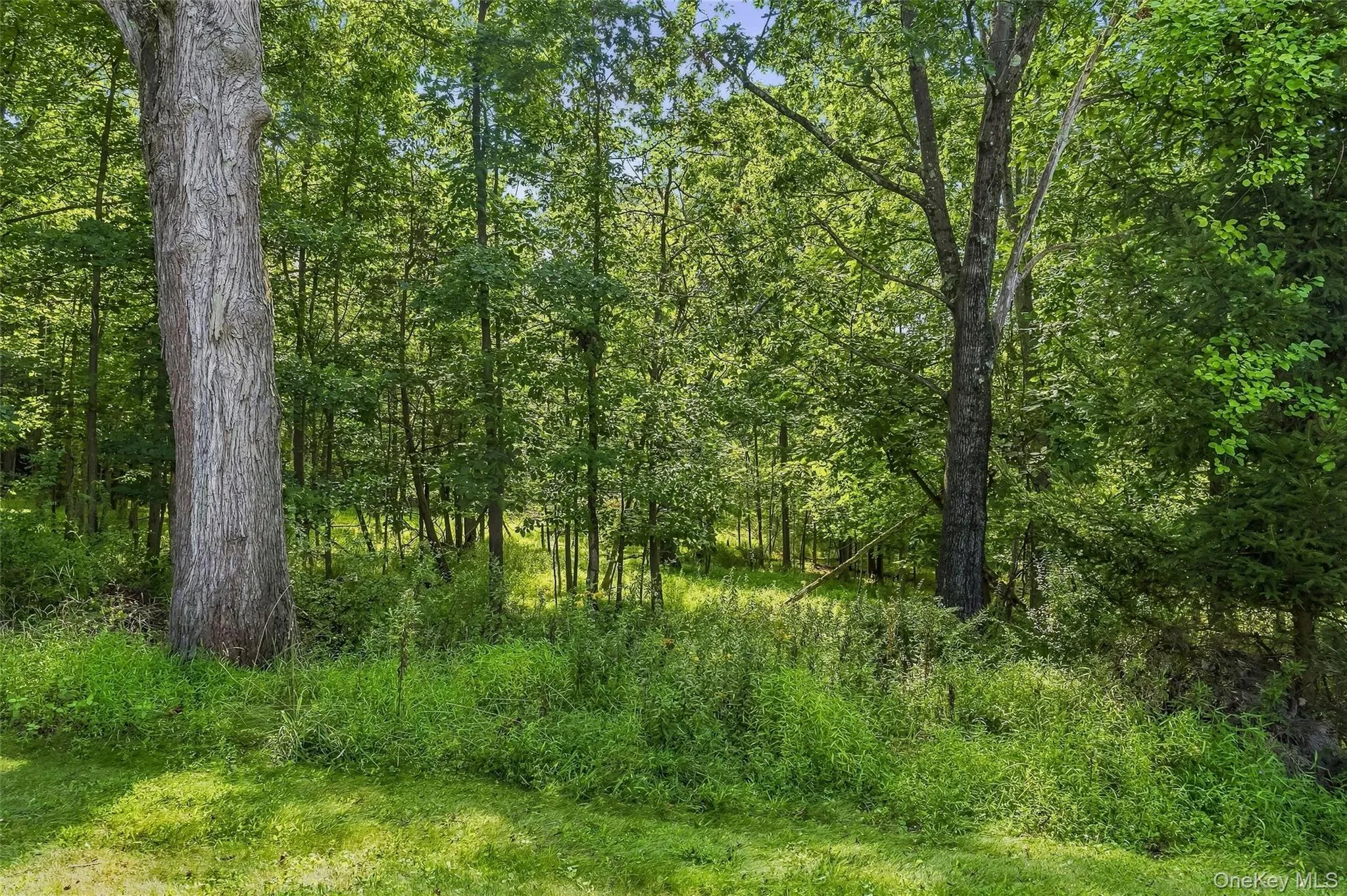 35 Cunningham, Monroe, NY, 4 Bedrooms Bedrooms, 9 Rooms Rooms,2 BathroomsBathrooms,Residential Lease,For Rent,Cunningham,0,1041076 35 Cunningham, Monroe, NY, 4 Bedrooms Bedrooms, 9 Rooms Rooms,2 BathroomsBathrooms,Residential Lease,For Rent,Cunningham,0,1041076